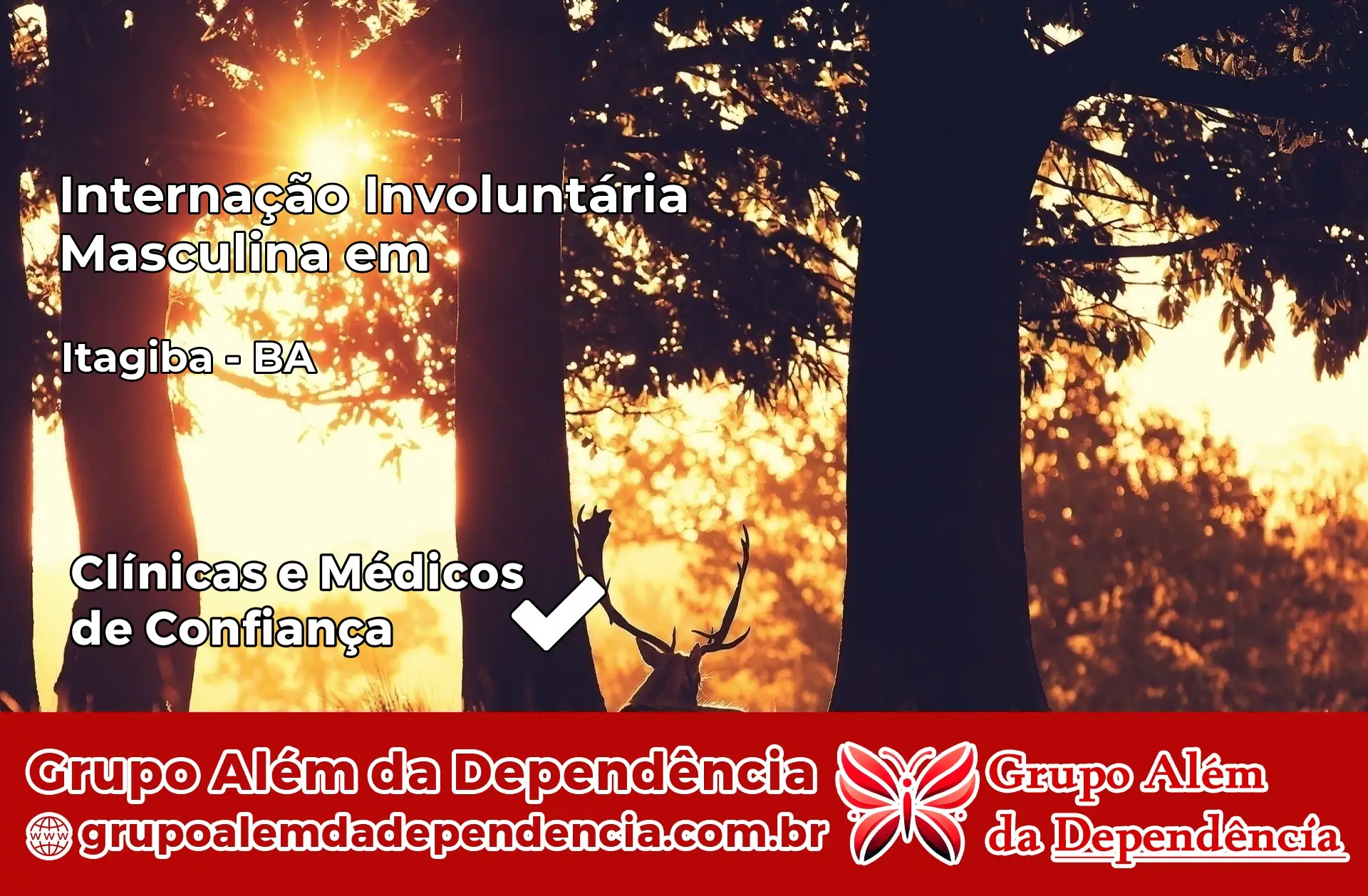 Internação Involuntária Masculina em Itagibá – BA