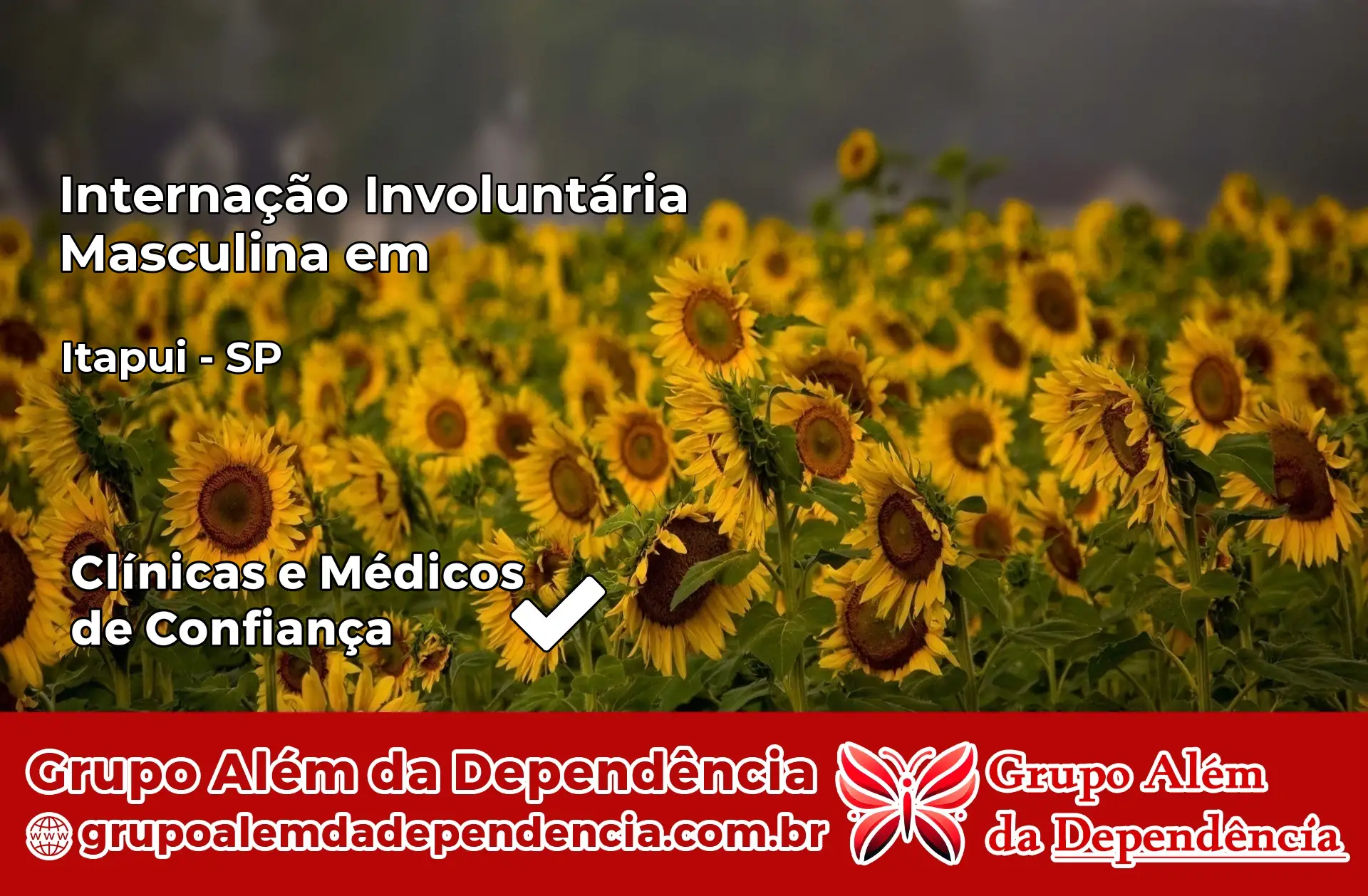 Internação Involuntária Masculina em Itapuí – SP