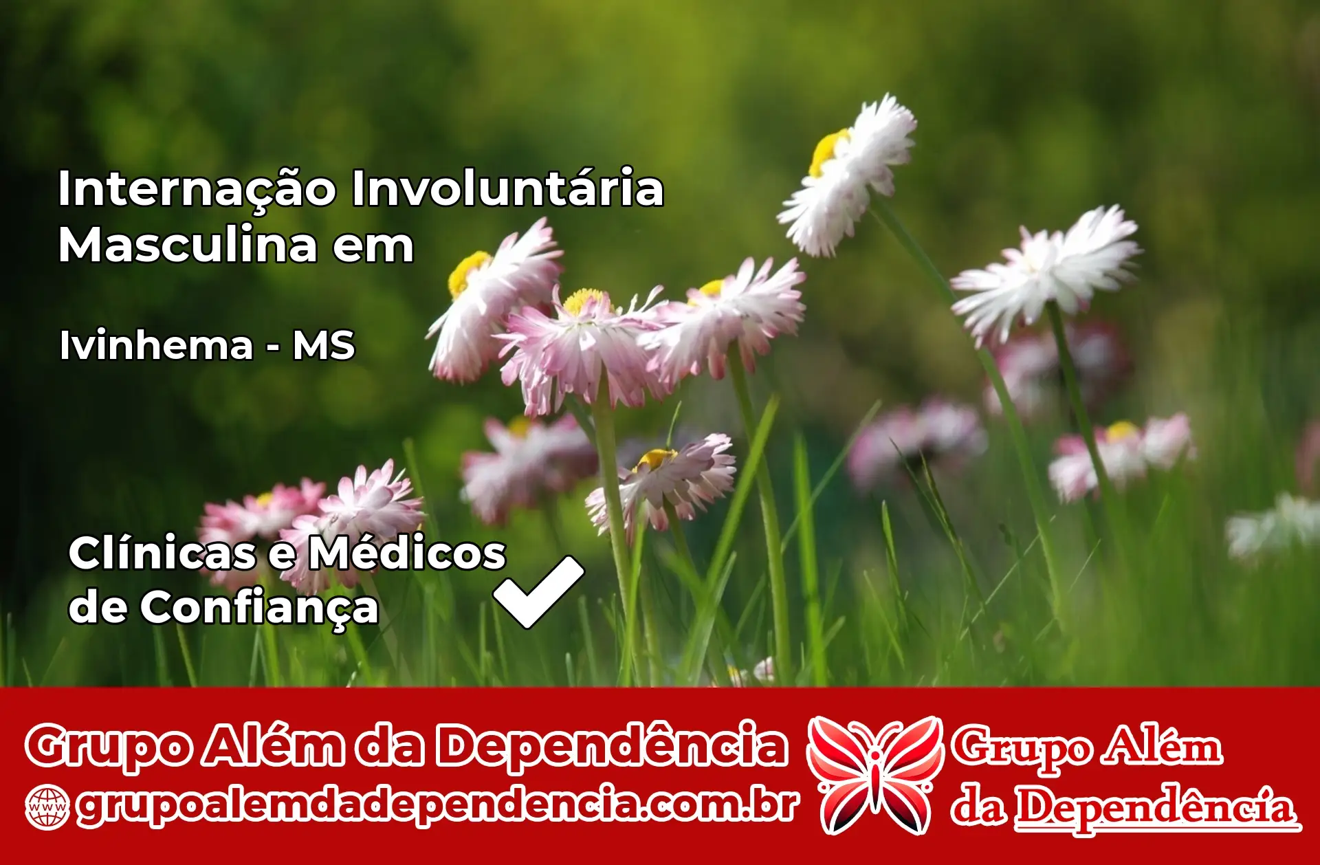 Internação Involuntária Masculina em Ivinhema – MS
