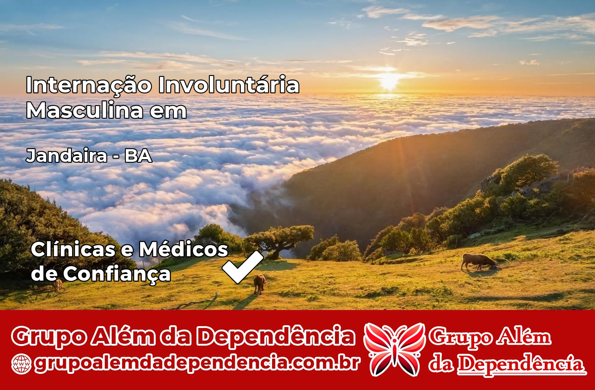 Internação Involuntária Masculina em Jandaíra – BA