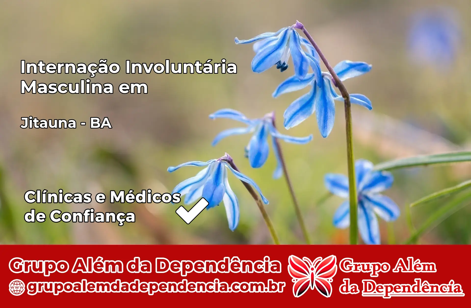 Internação Involuntária Masculina em Jitaúna – BA