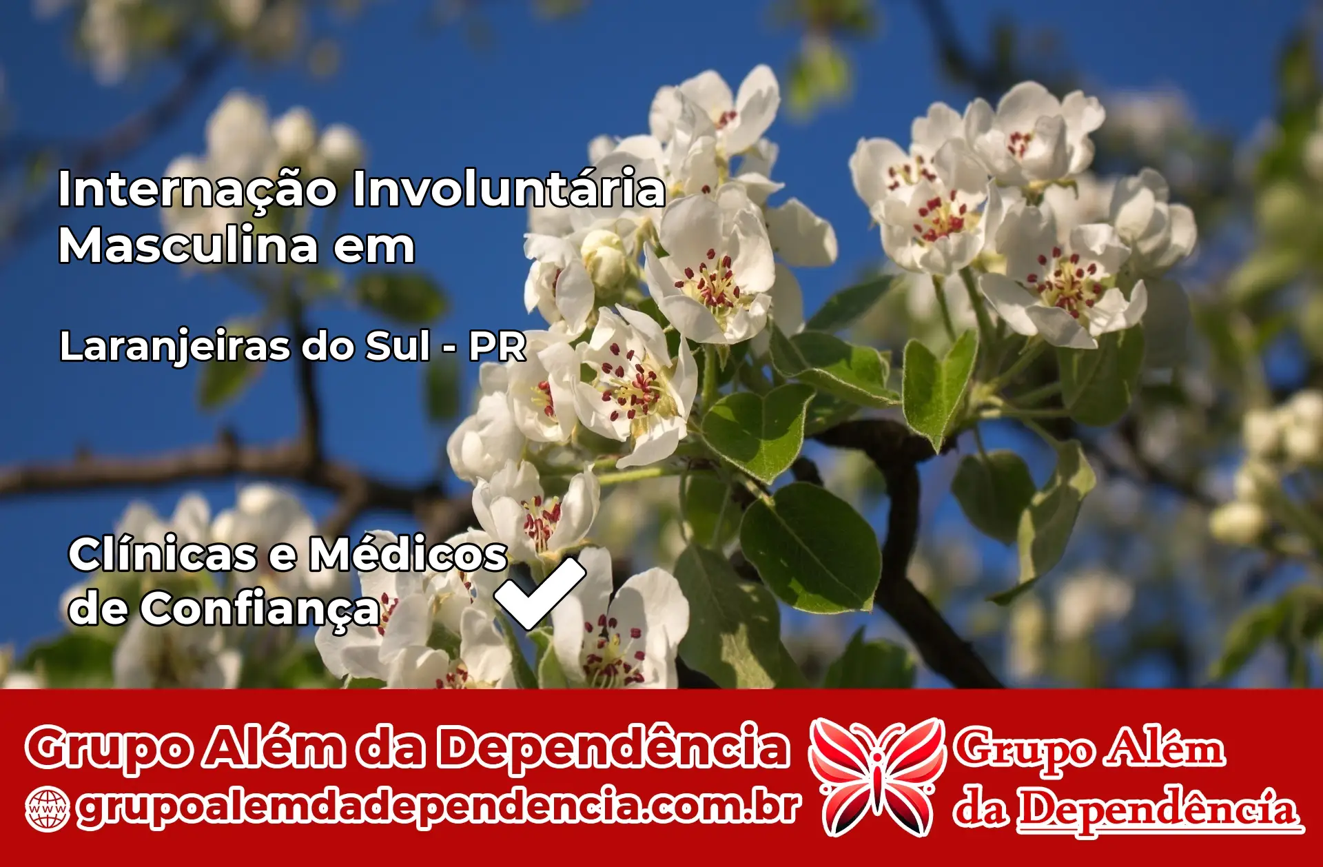 Internação Involuntária Masculina em Laranjeiras do Sul – PR