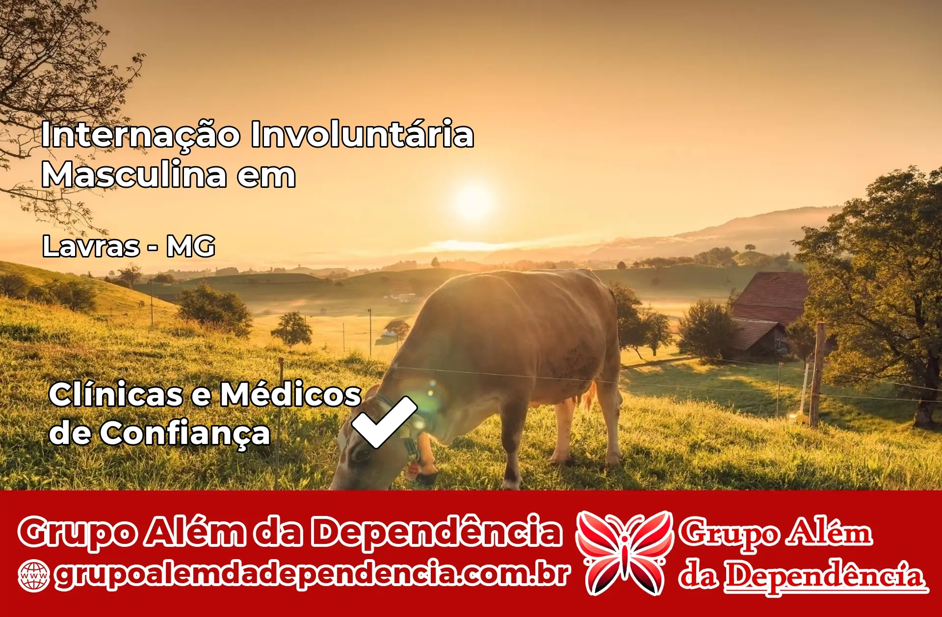 Internação Involuntária Masculina em Lavras – MG