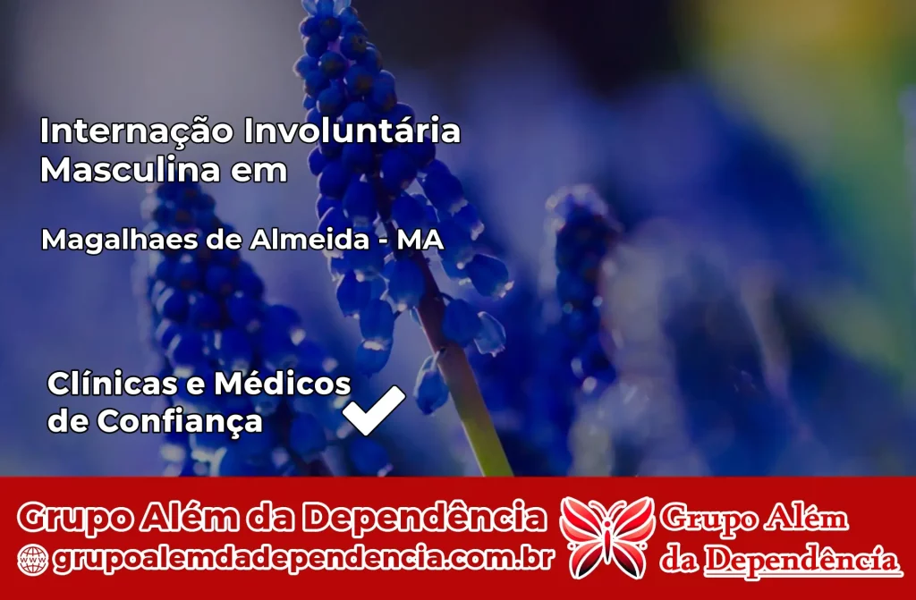 Internação Involuntária Masculina em Magalhães de Almeida – MA 1 Internação Involuntária Masculina em Magalhães de Almeida – MA