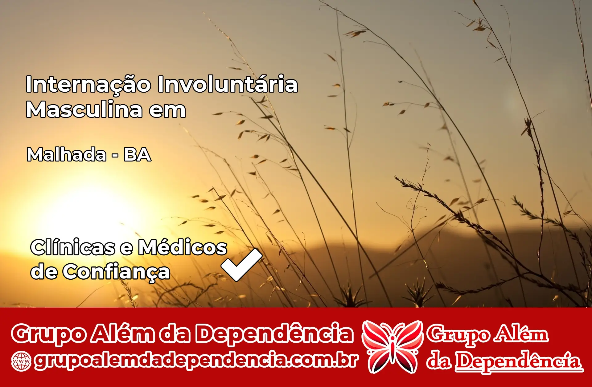Internação Involuntária Masculina em Malhada – BA