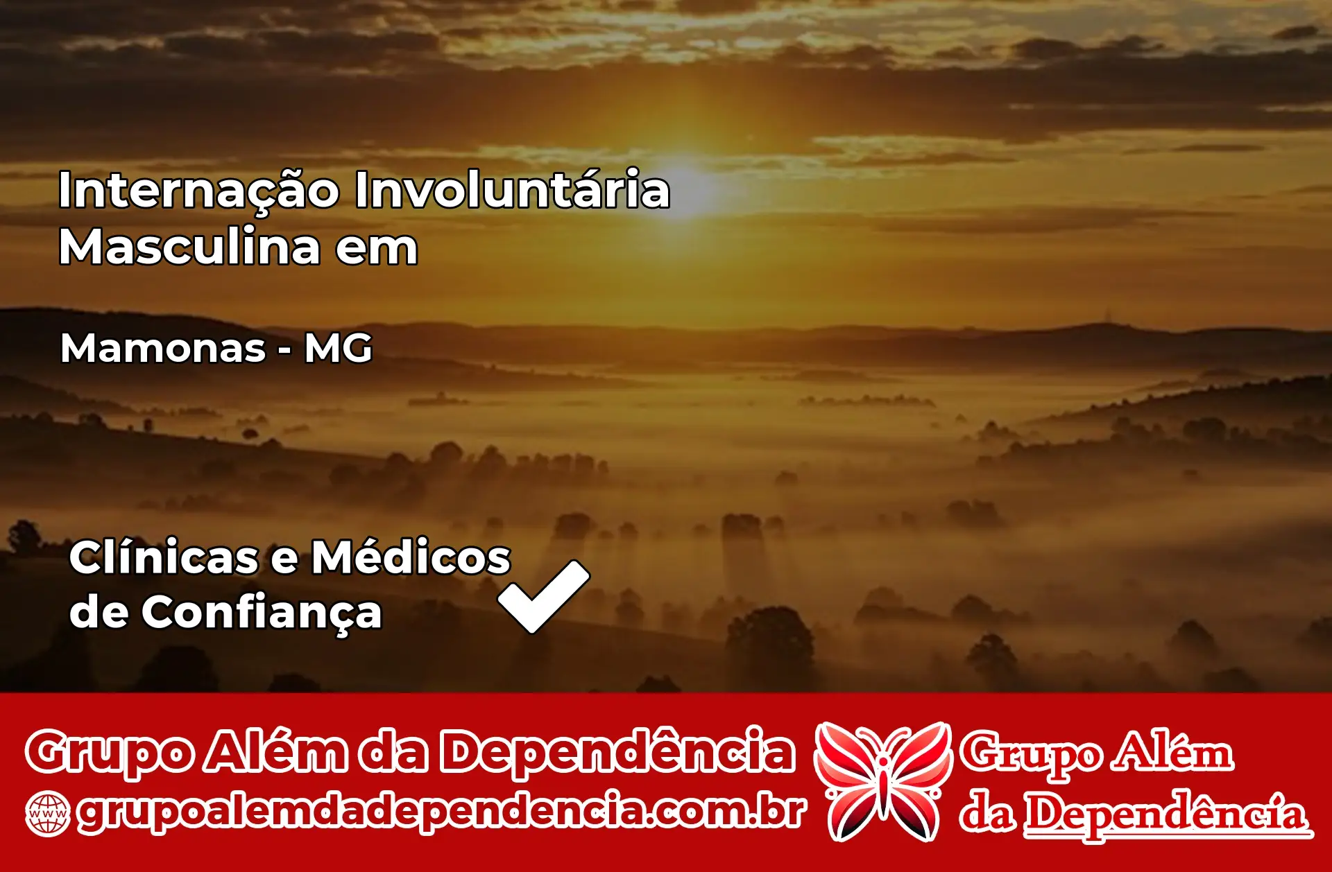 Internação Involuntária Masculina em Mamonas – MG