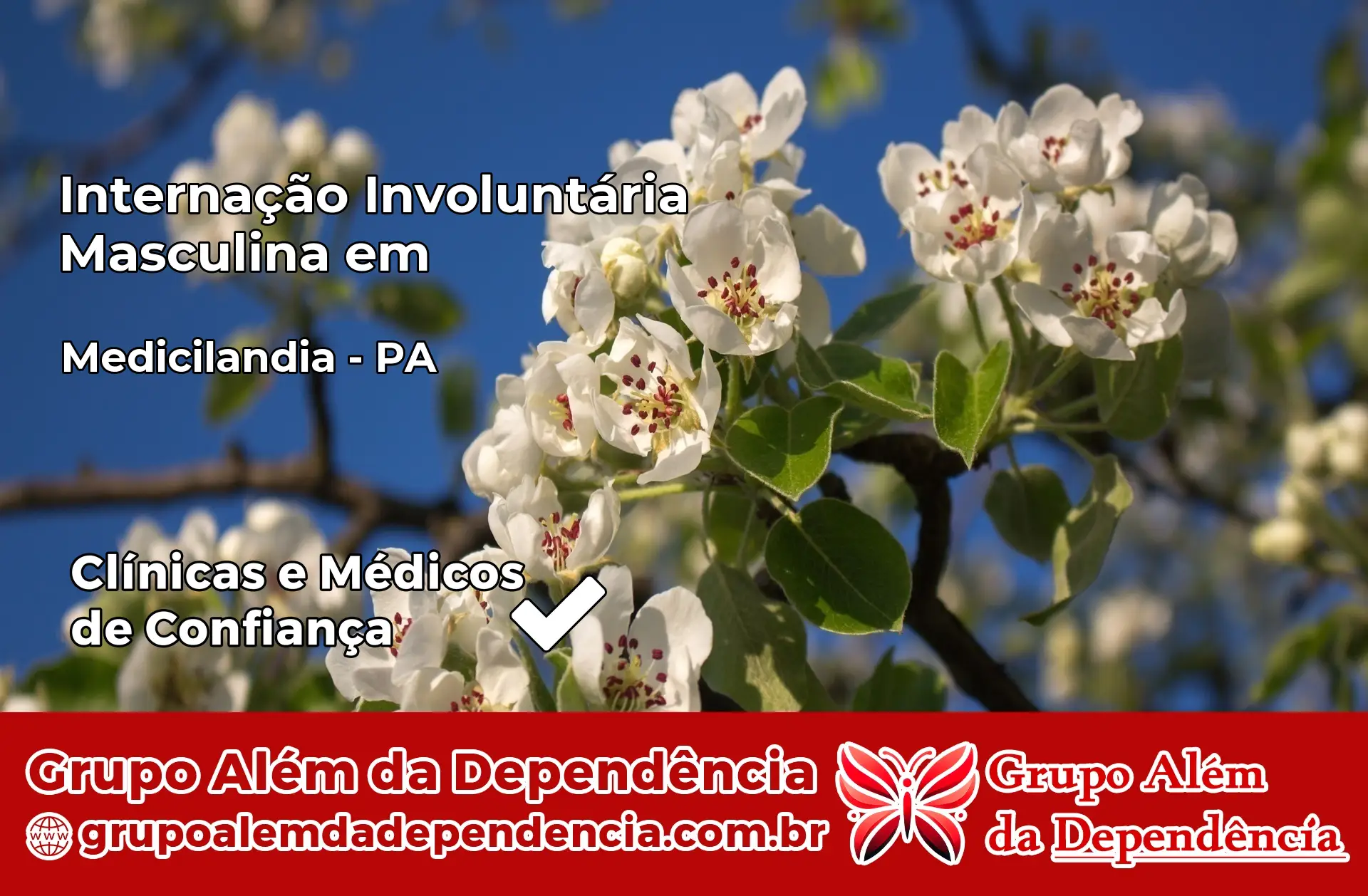 Internação Involuntária Masculina em Medicilândia – PA