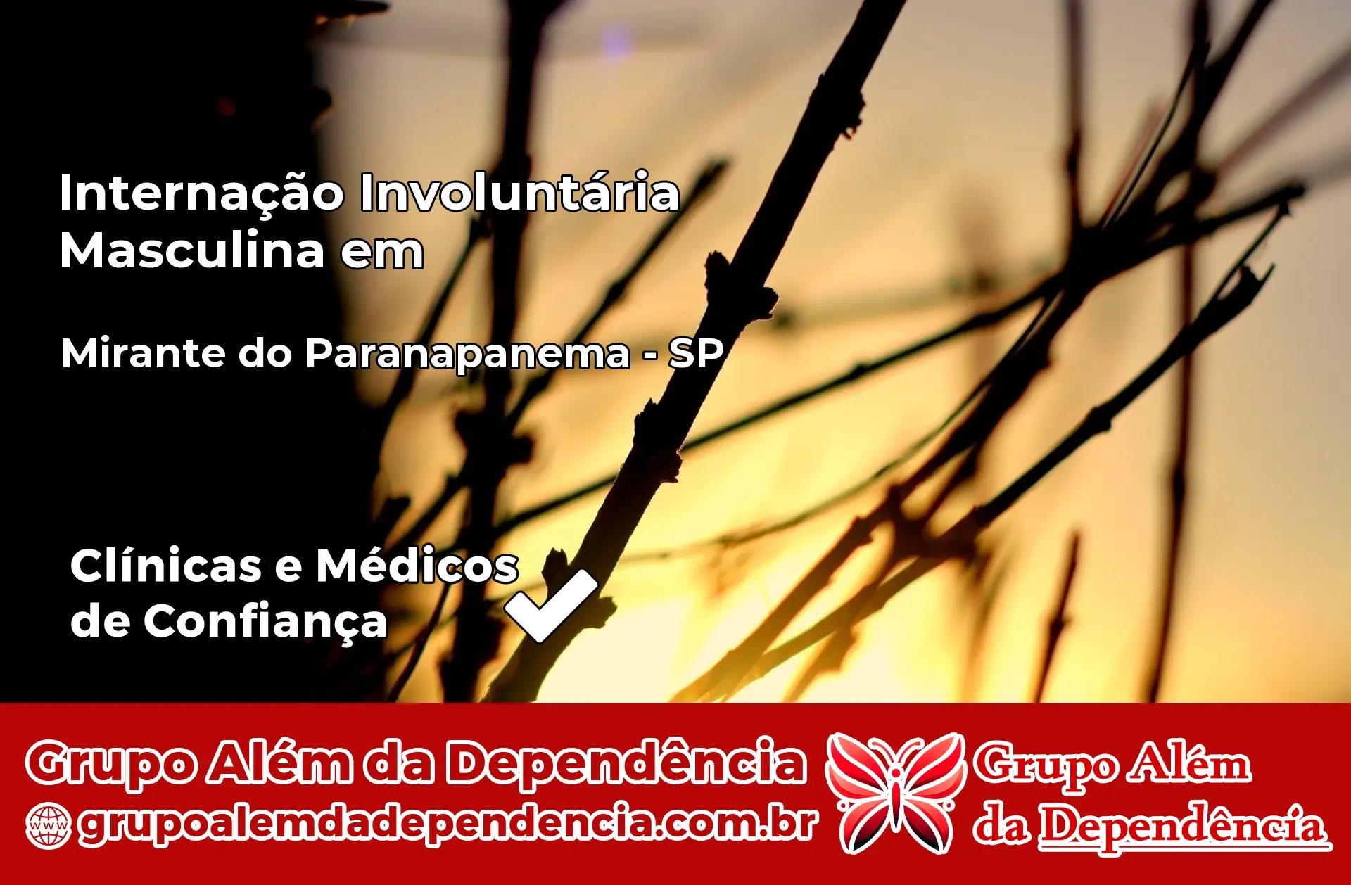 Internação Involuntária Masculina em Mirante do Paranapanema – SP