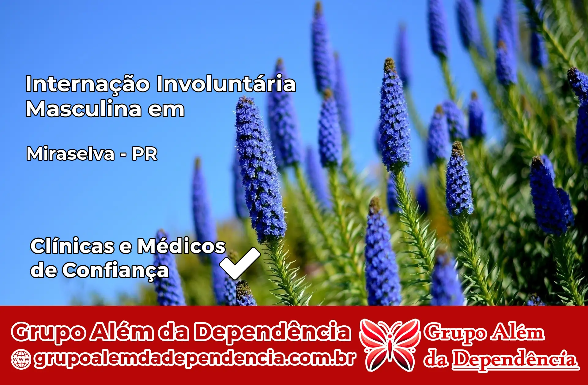 Internação Involuntária Masculina em Miraselva – PR