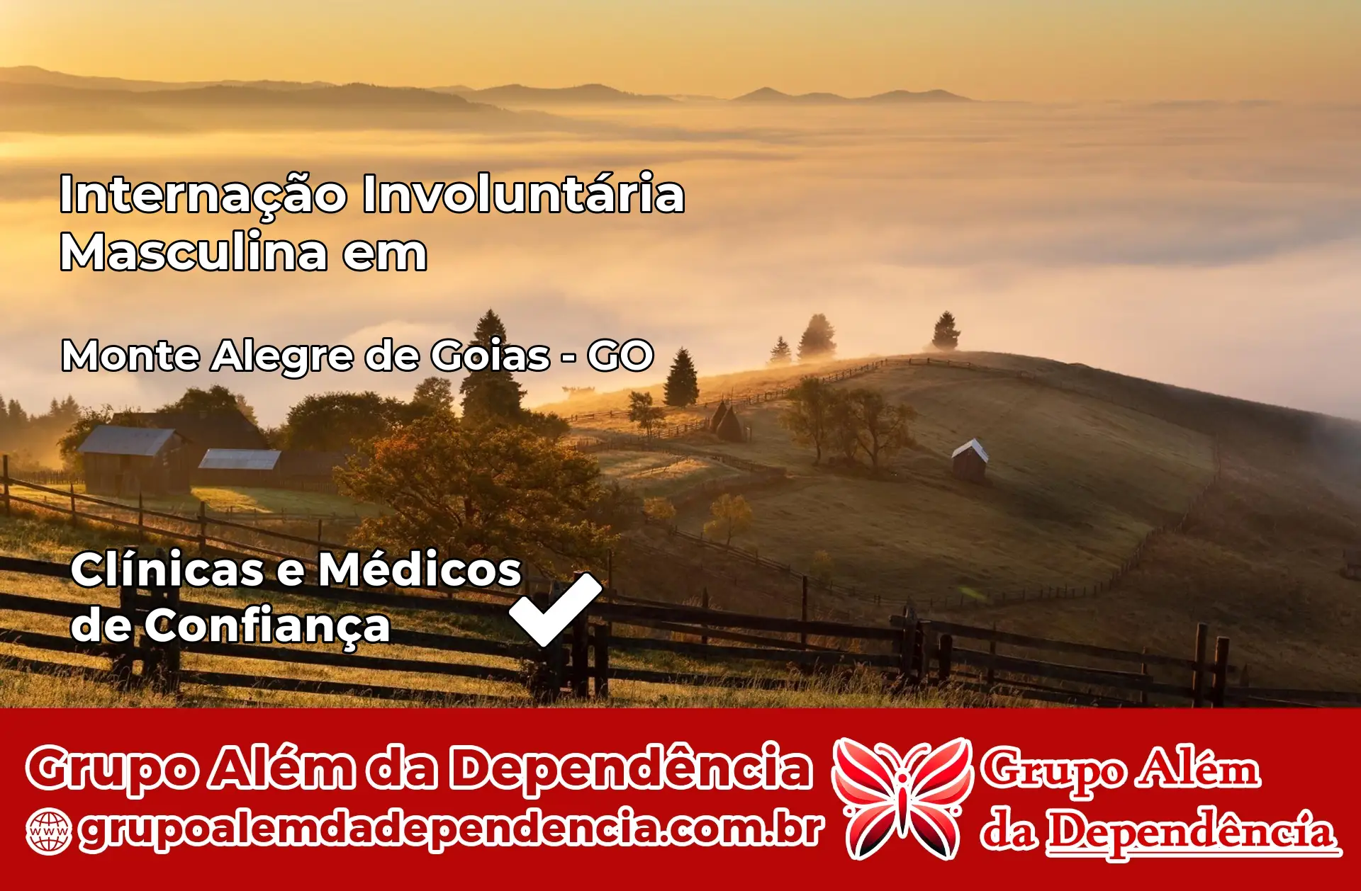 Internação Involuntária Masculina em Monte Alegre de Goiás – GO
