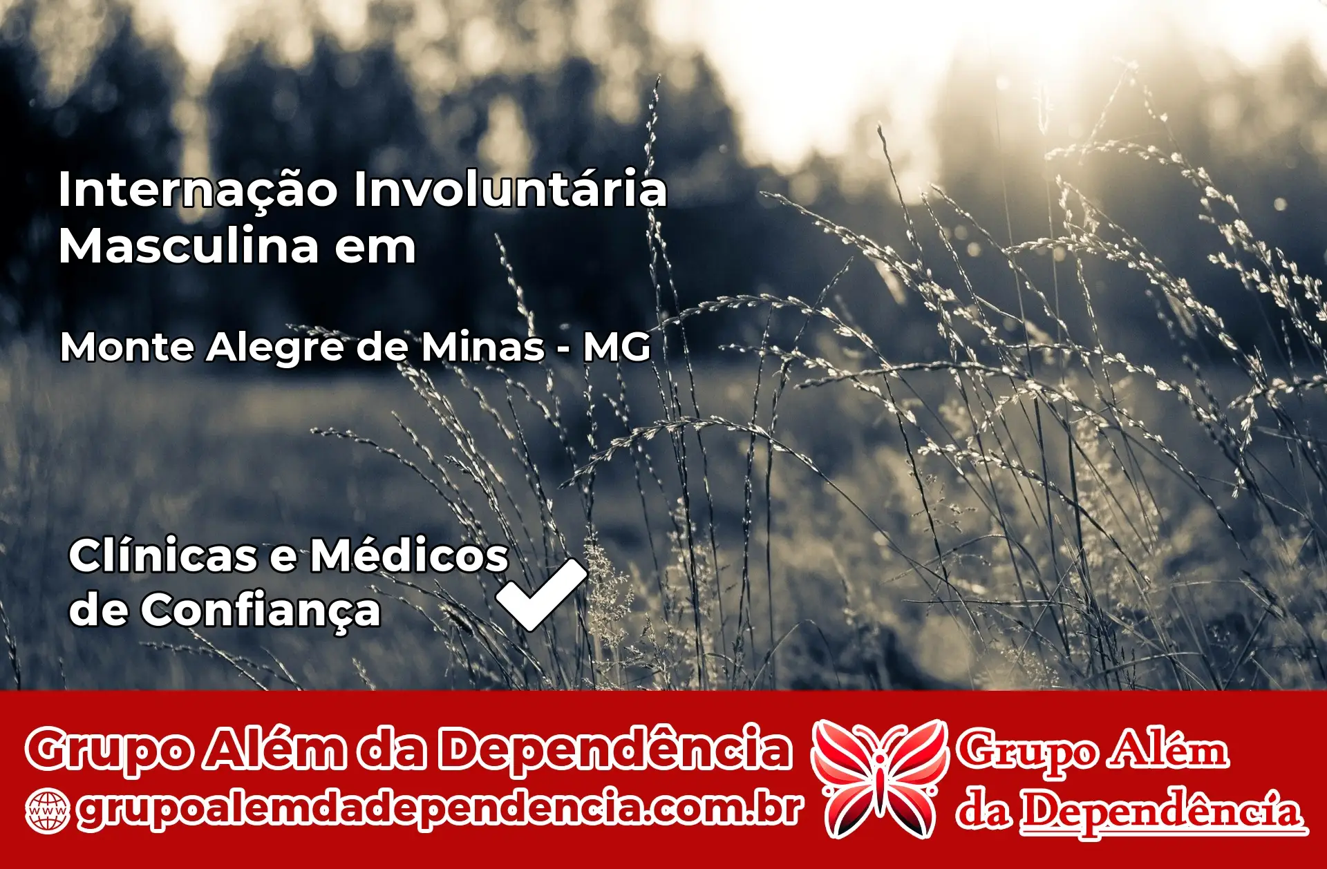 Internação Involuntária Masculina em Monte Alegre de Minas – MG