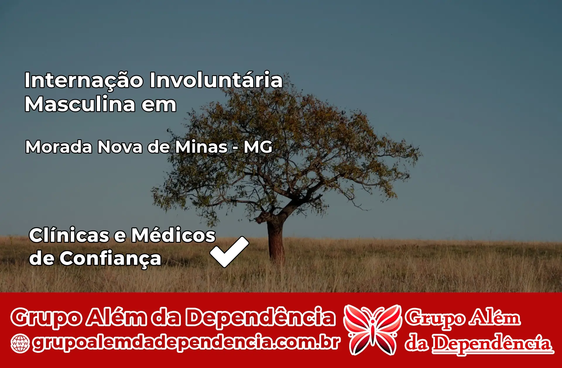 Internação Involuntária Masculina em Morada Nova de Minas – MG