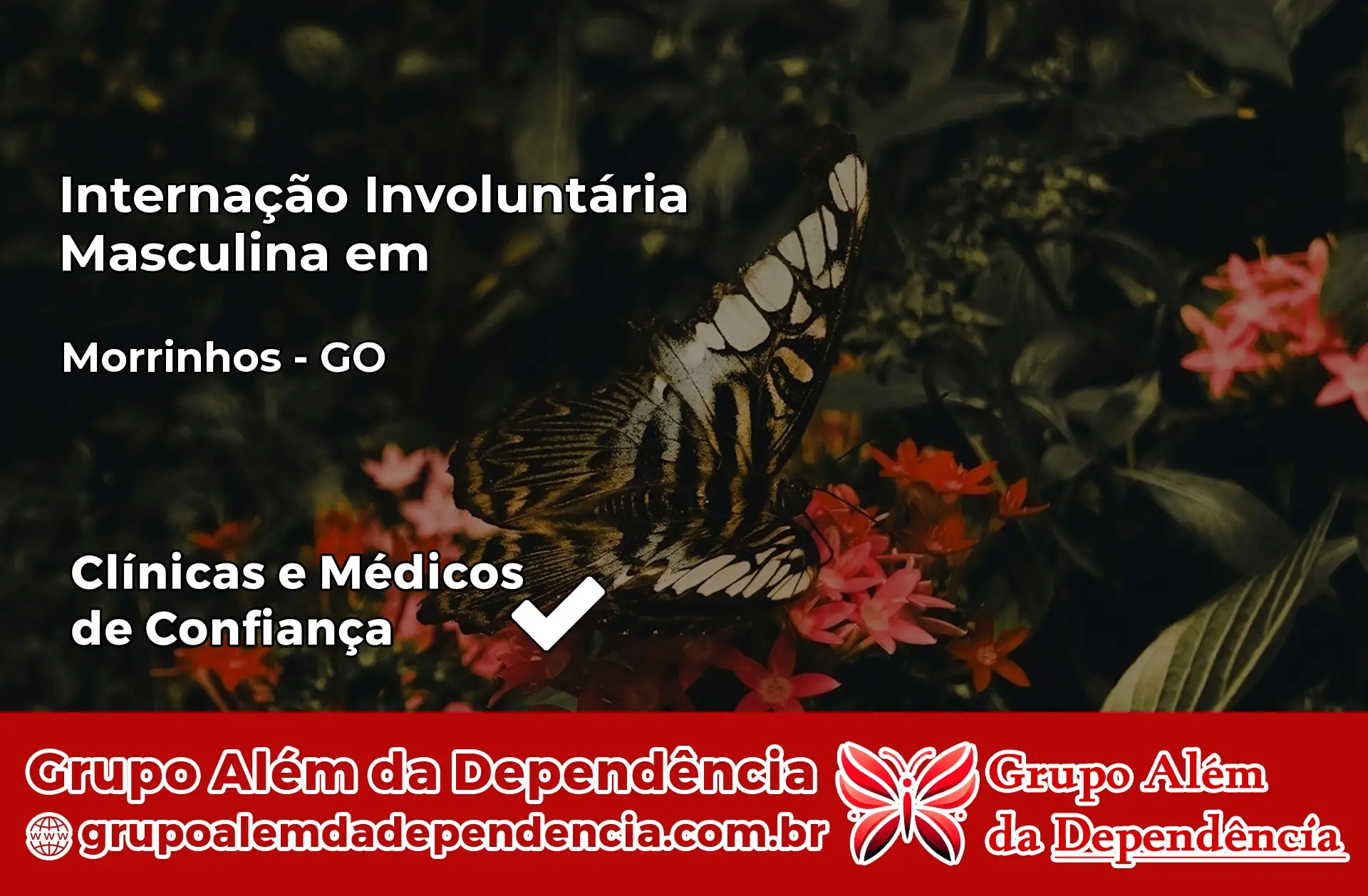 Internação Involuntária Masculina em Morrinhos – GO