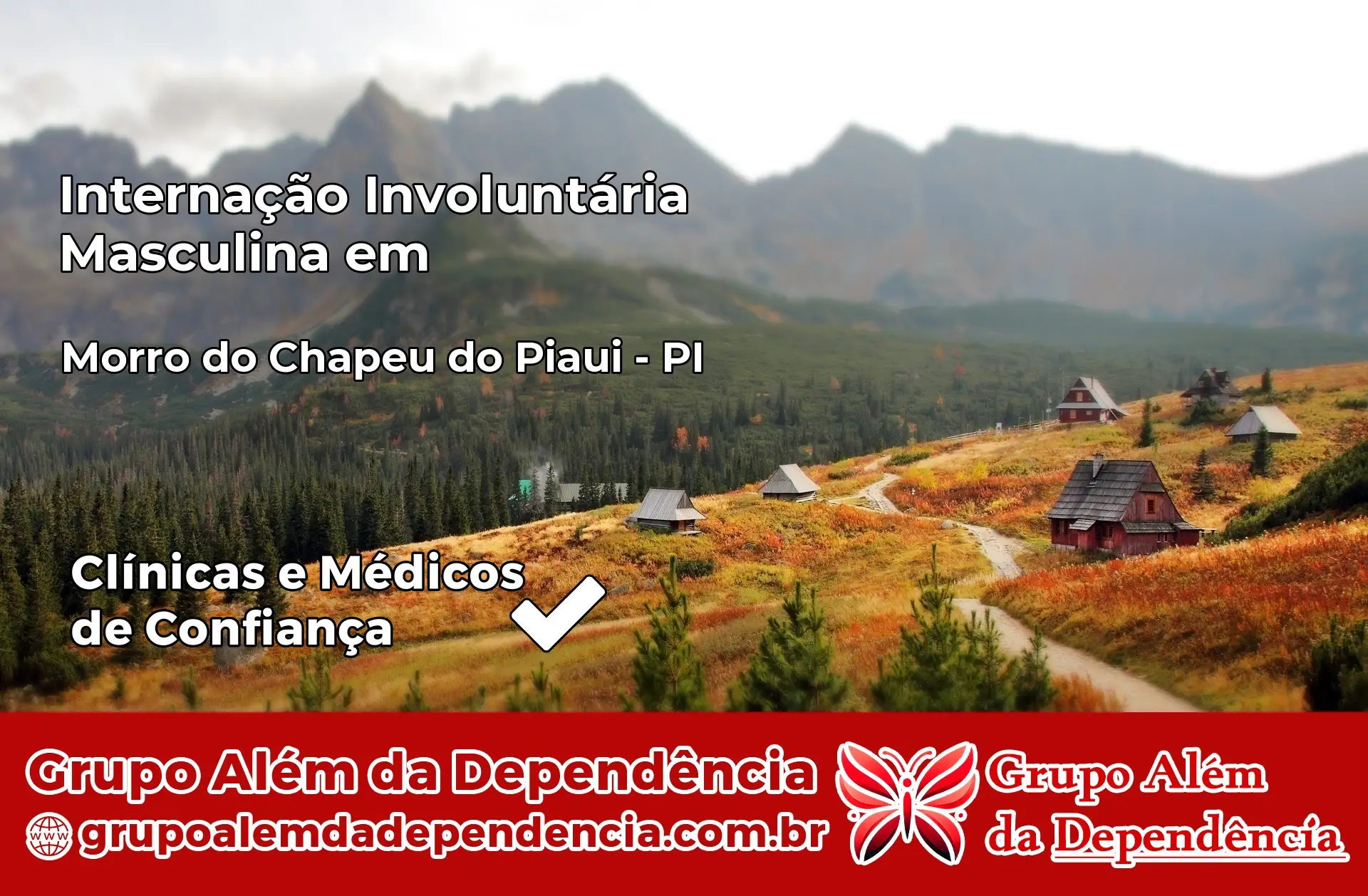 Internação Involuntária Masculina em Morro do Chapéu do Piauí – PI