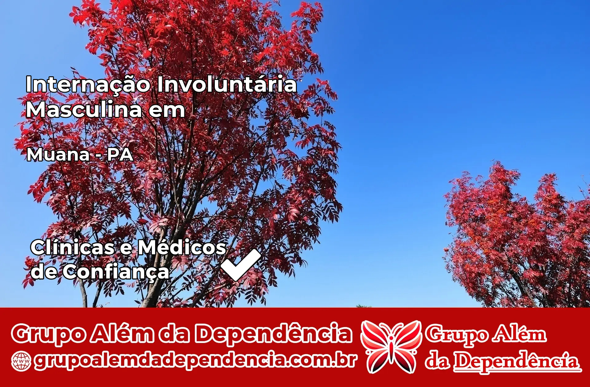 Internação Involuntária Masculina em Muaná – PA
