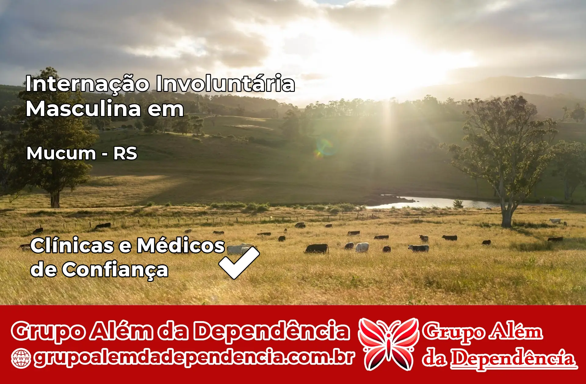 Internação Involuntária Masculina em Muçum – RS