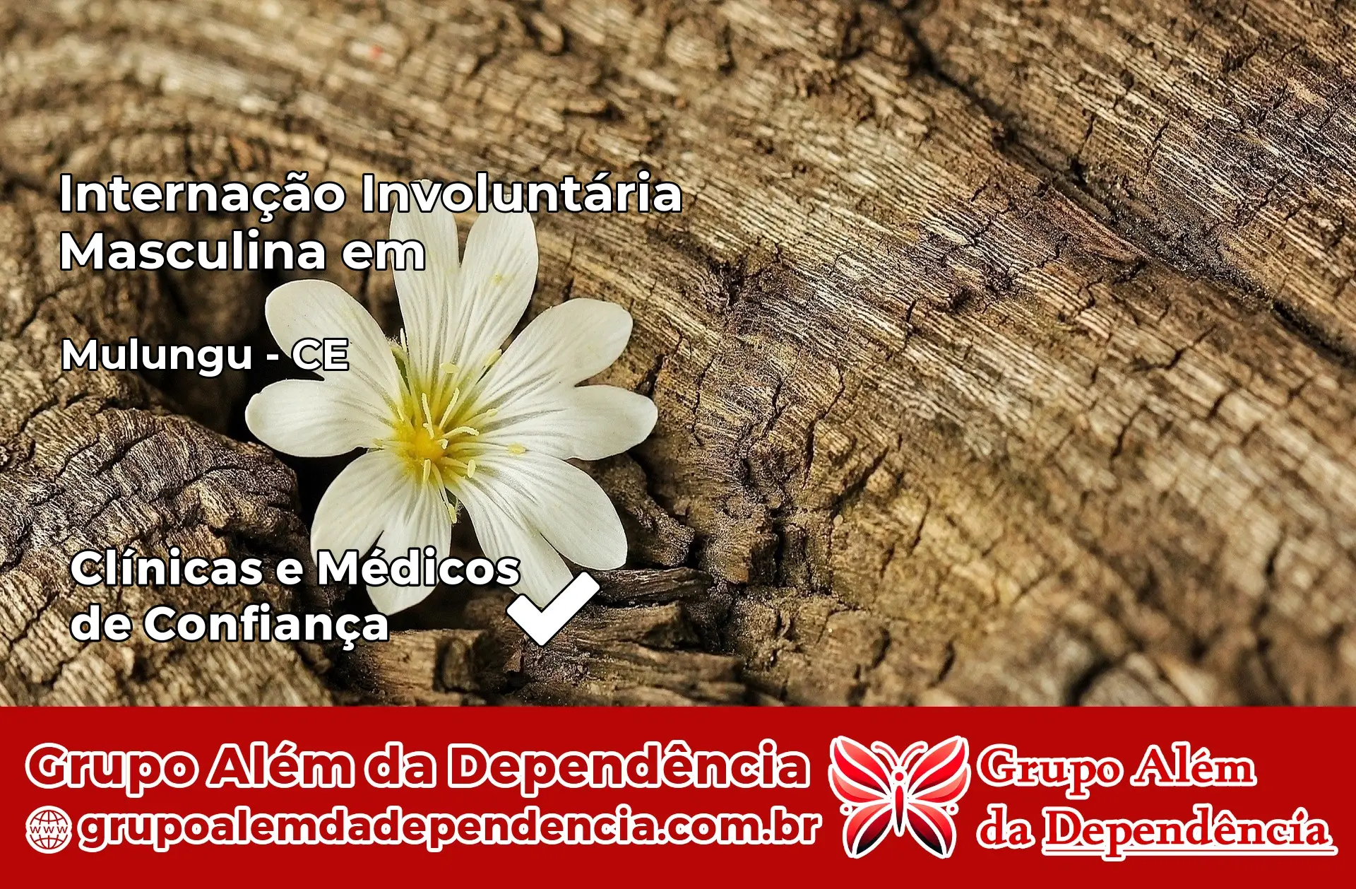 Internação Involuntária Masculina em Mulungu – CE