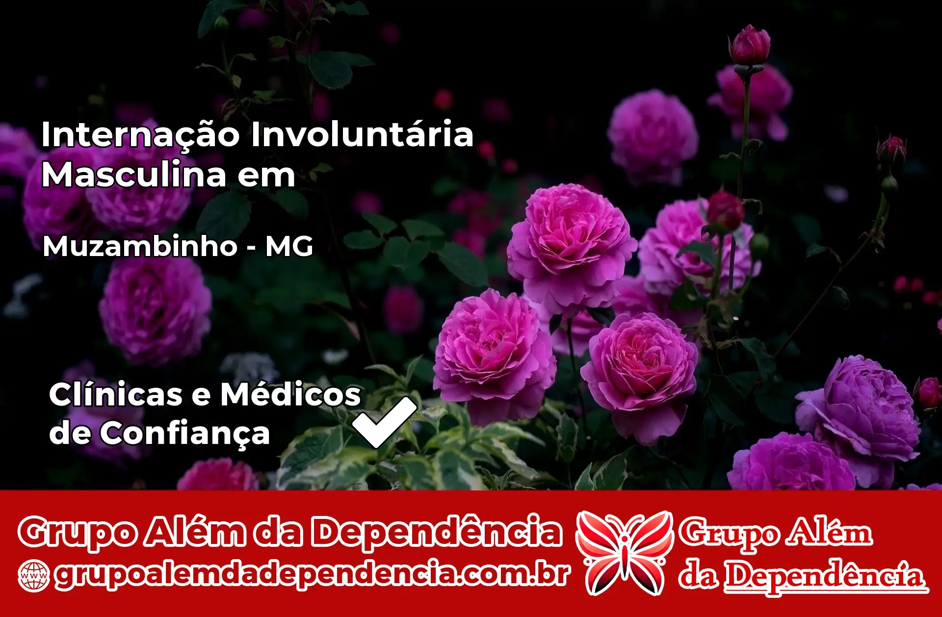 Internação Involuntária Masculina em Muzambinho – MG