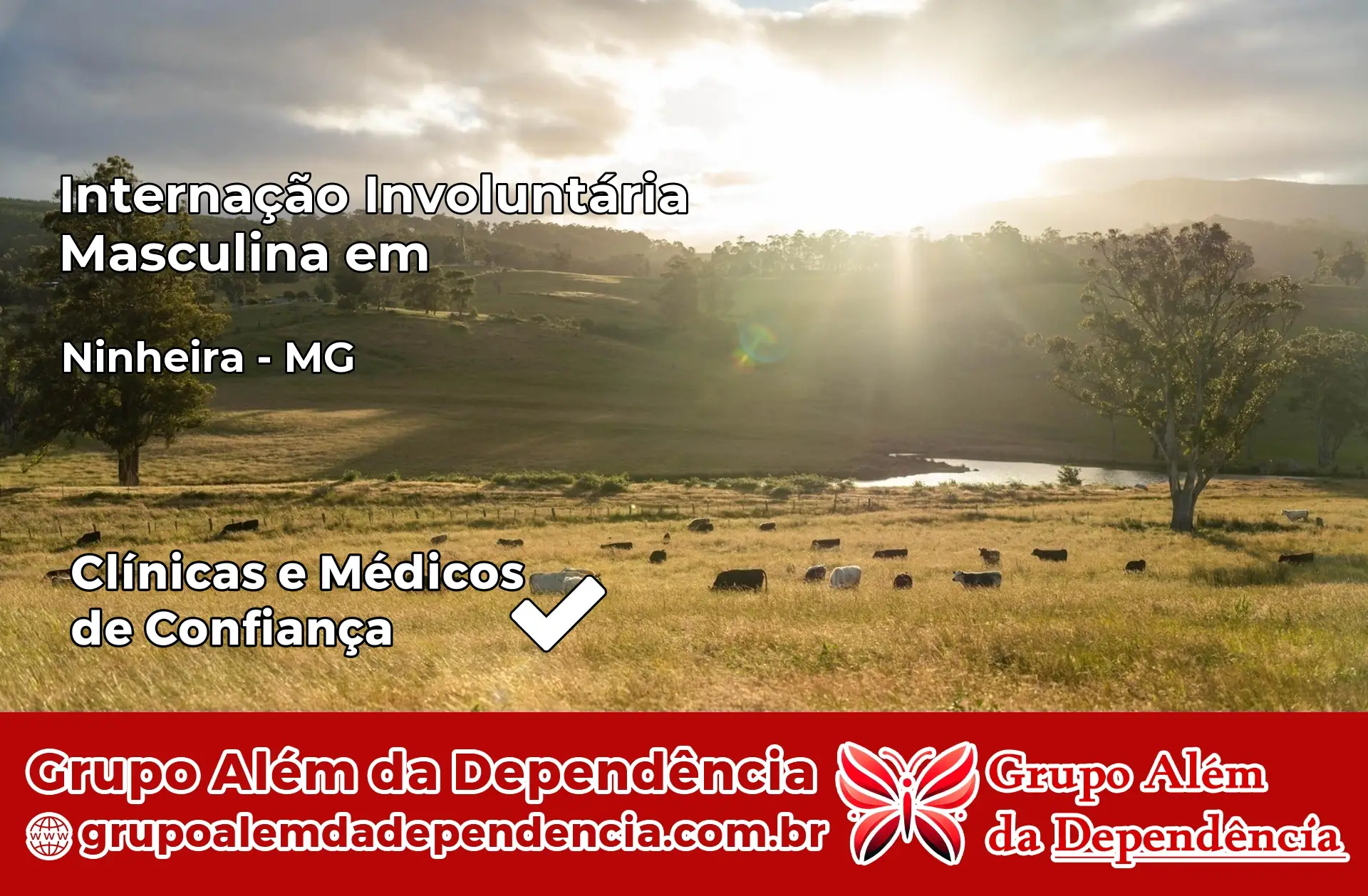 Internação Involuntária Masculina em Ninheira – MG