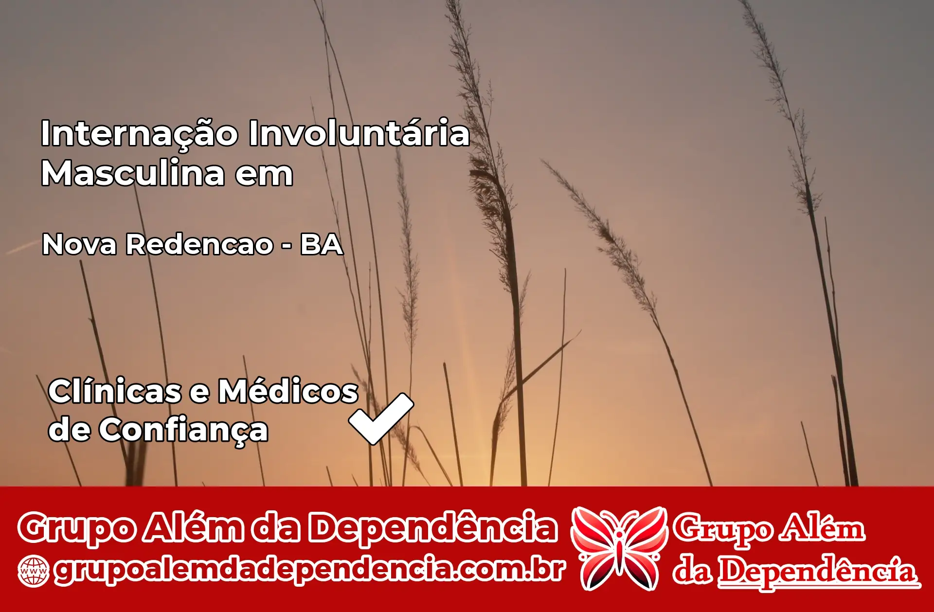 Internação Involuntária Masculina em Nova Redenção – BA