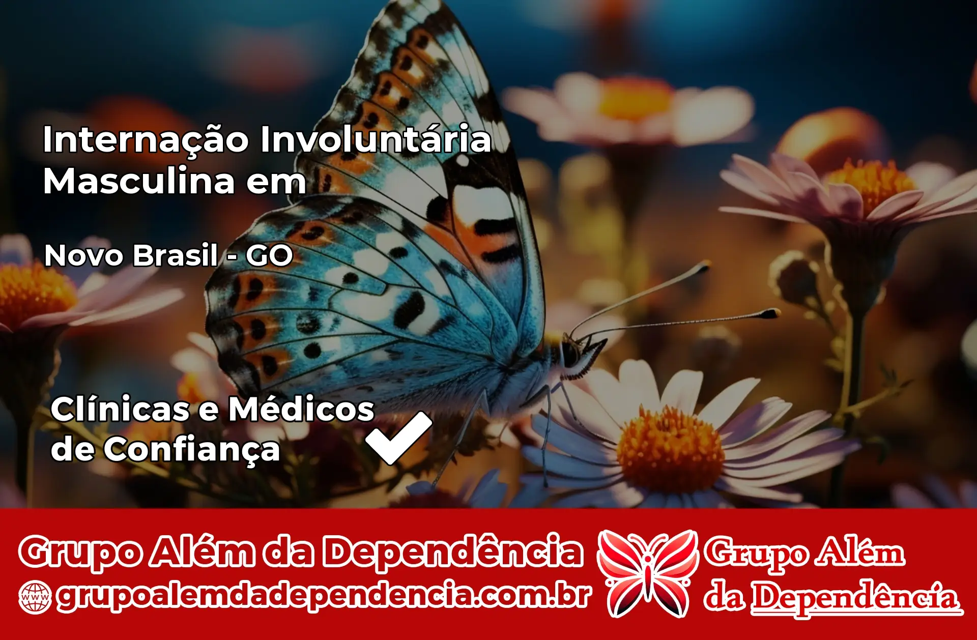 Internação Involuntária Masculina em Novo Brasil – GO