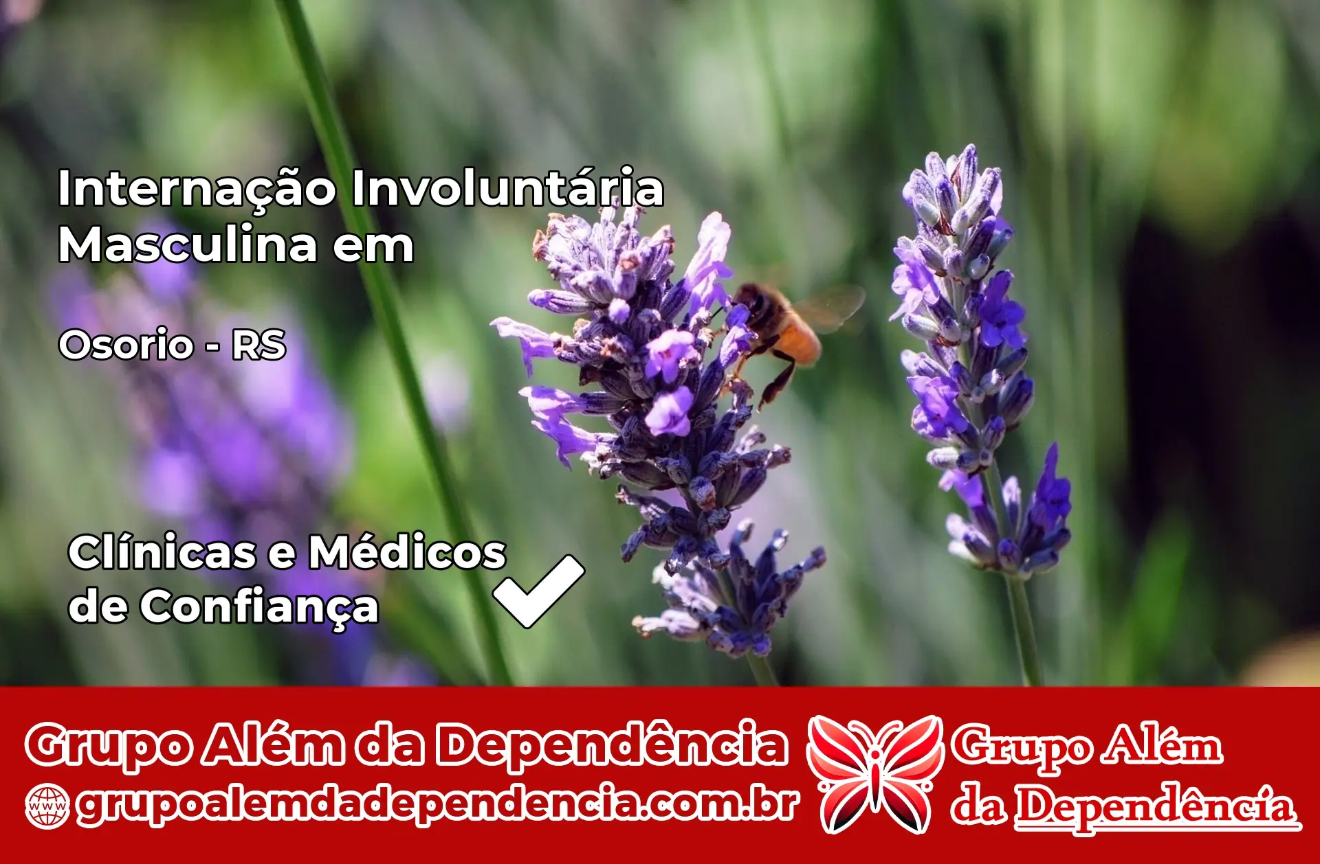 Internação Involuntária Masculina em Osório – RS