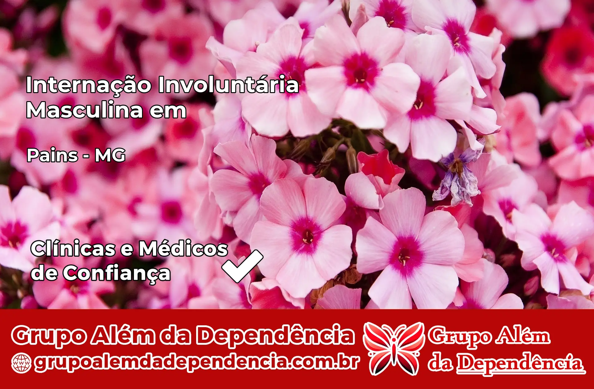 Internação Involuntária Masculina em Pains – MG