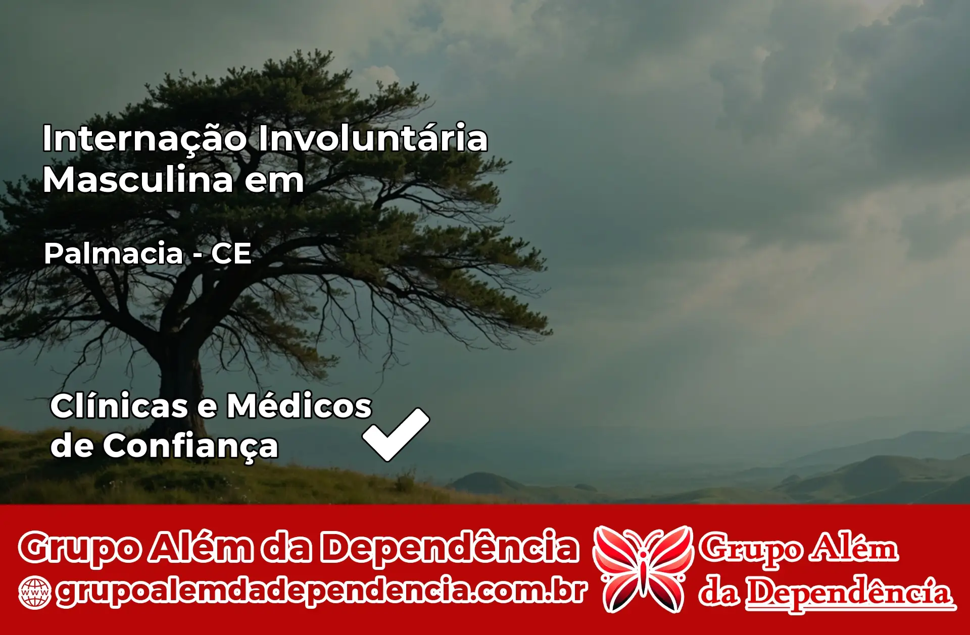 Internação Involuntária Masculina em Palmácia – CE