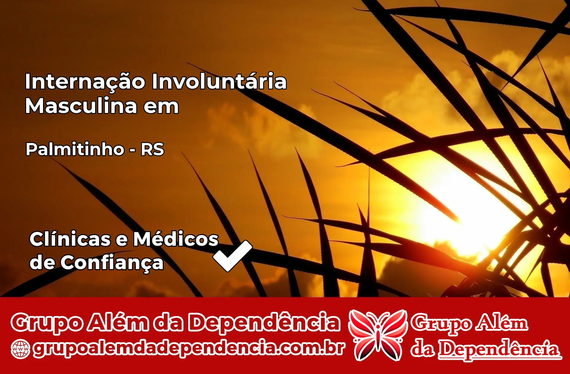 Internação Involuntária Masculina em Palmitinho – RS