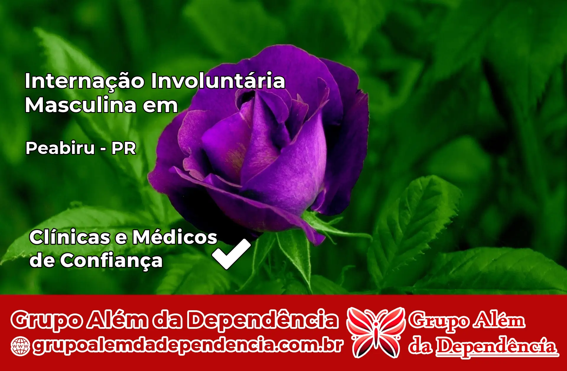 Internação Involuntária Masculina em Peabiru – PR
