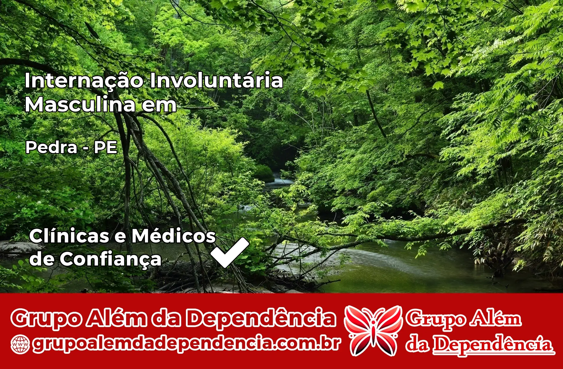 Internação Involuntária Masculina em Pedra – PE