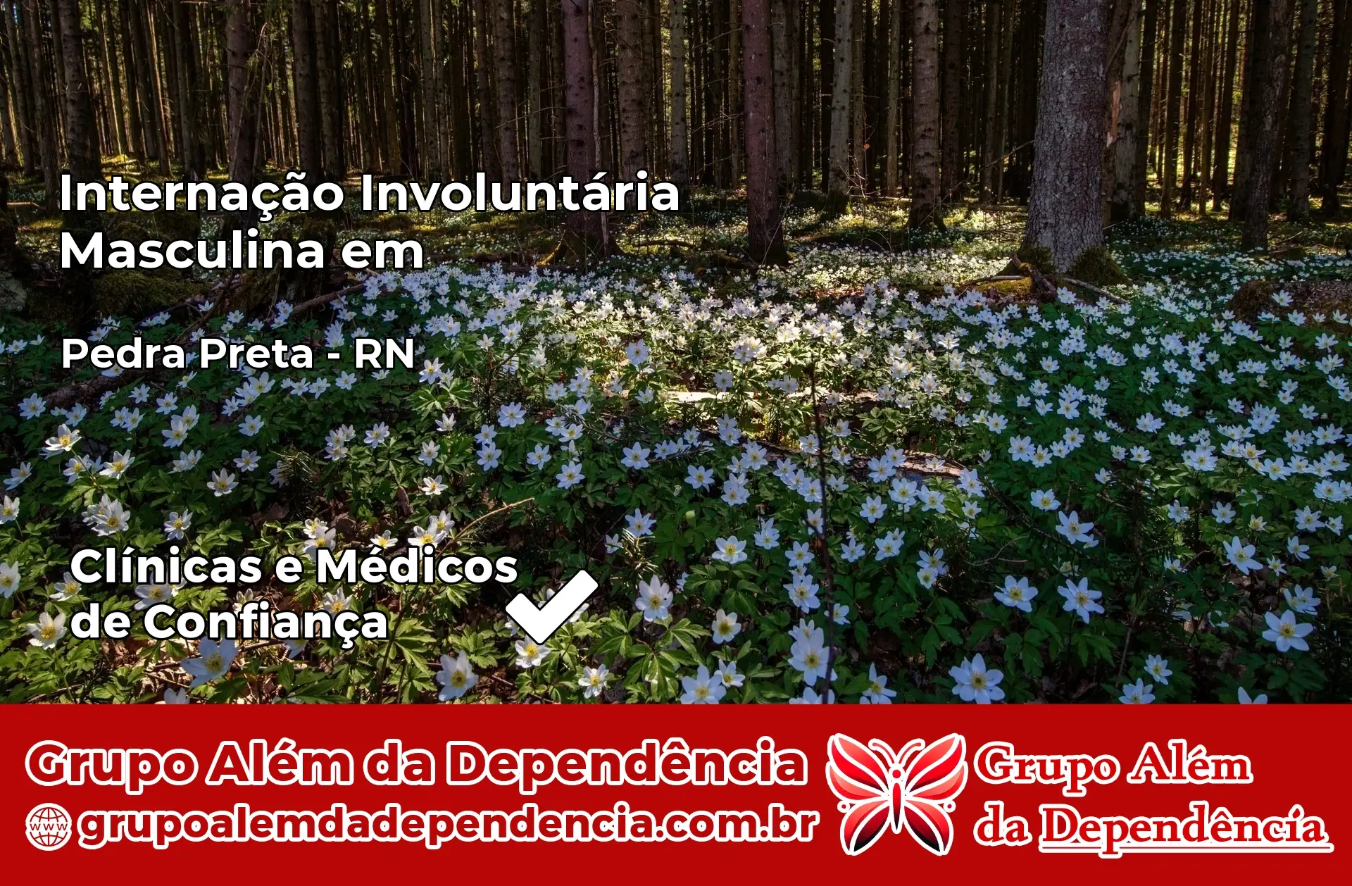 Internação Involuntária Masculina em Pedra Preta – RN