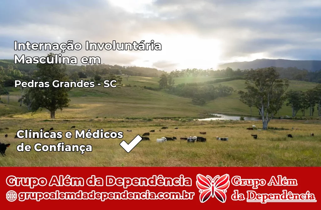 Internação Involuntária Masculina em Pedras Grandes – SC 1 Internação Involuntária Masculina em Pedras Grandes – SC