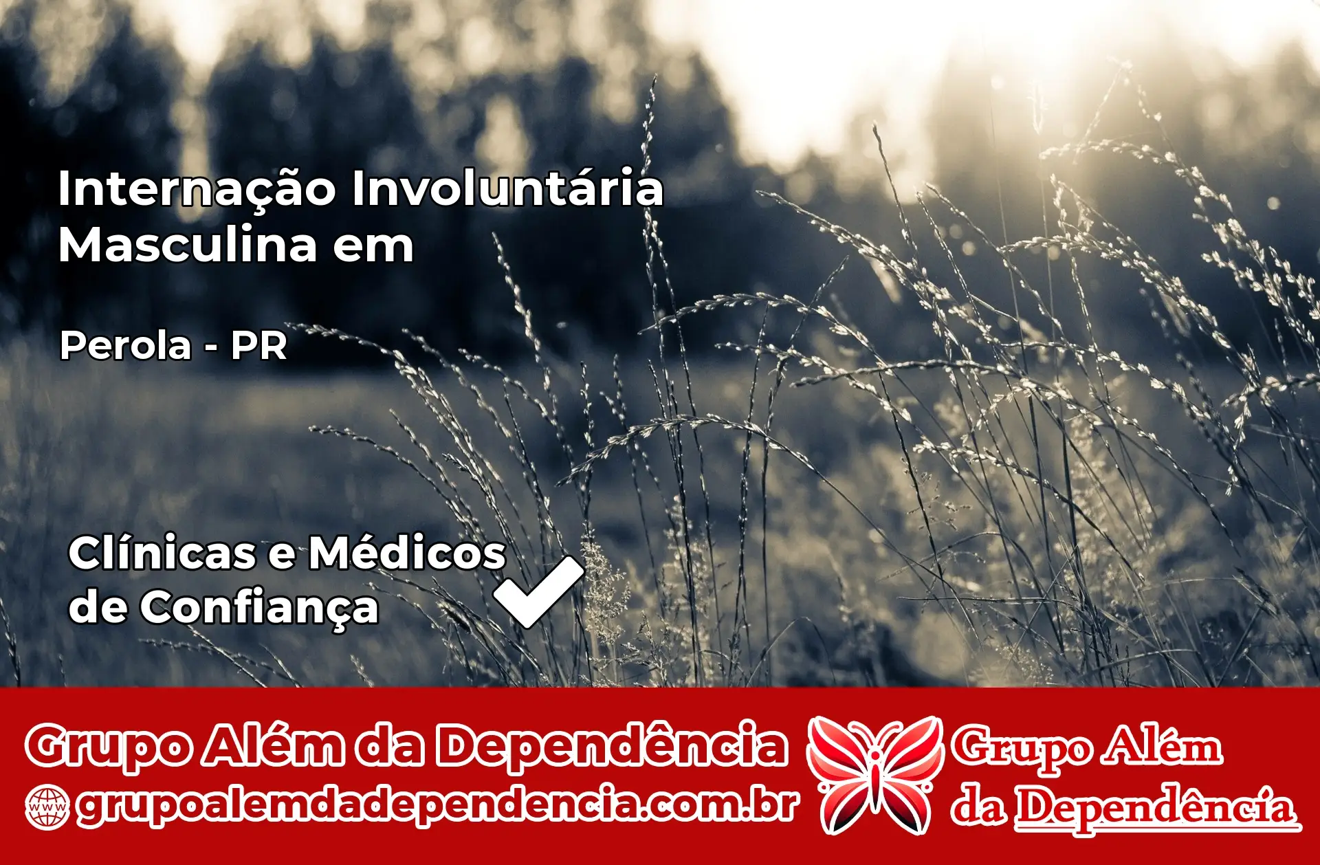 Internação Involuntária Masculina em Pérola – PR