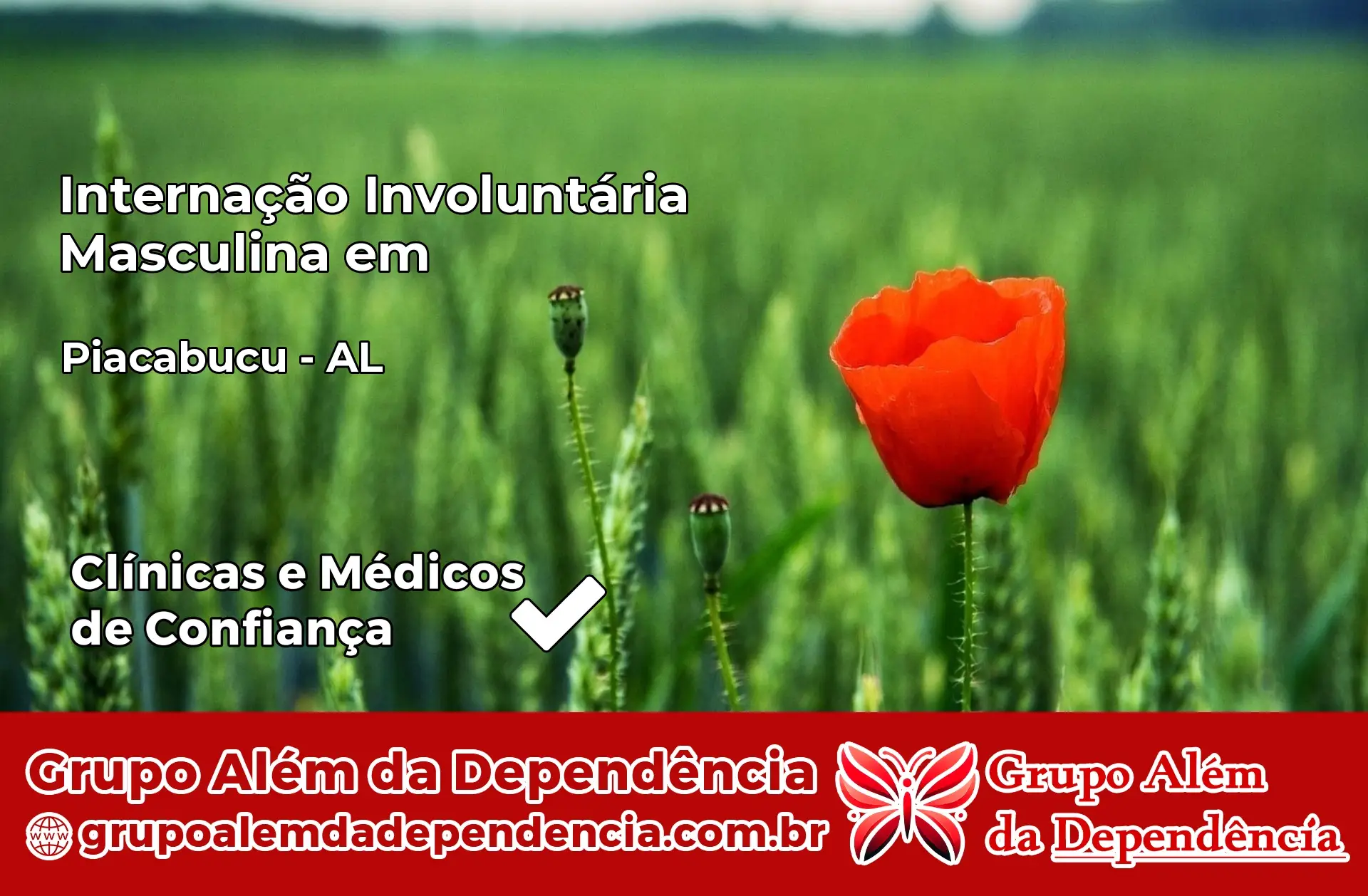 Internação Involuntária Masculina em Piaçabuçu – AL