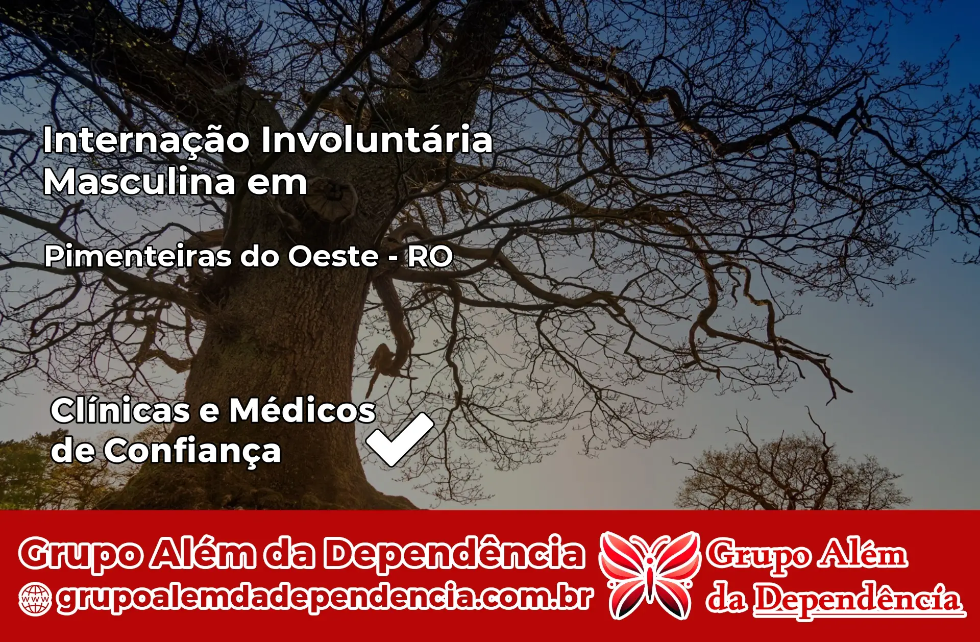 Internação Involuntária Masculina em Pimenteiras do Oeste – RO