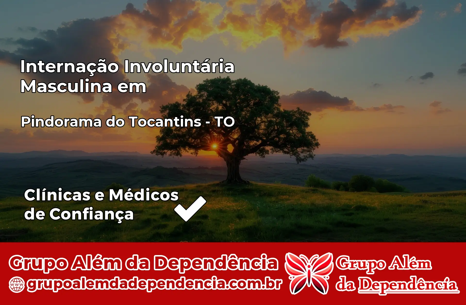 Internação Involuntária Masculina em Pindorama do Tocantins – TO
