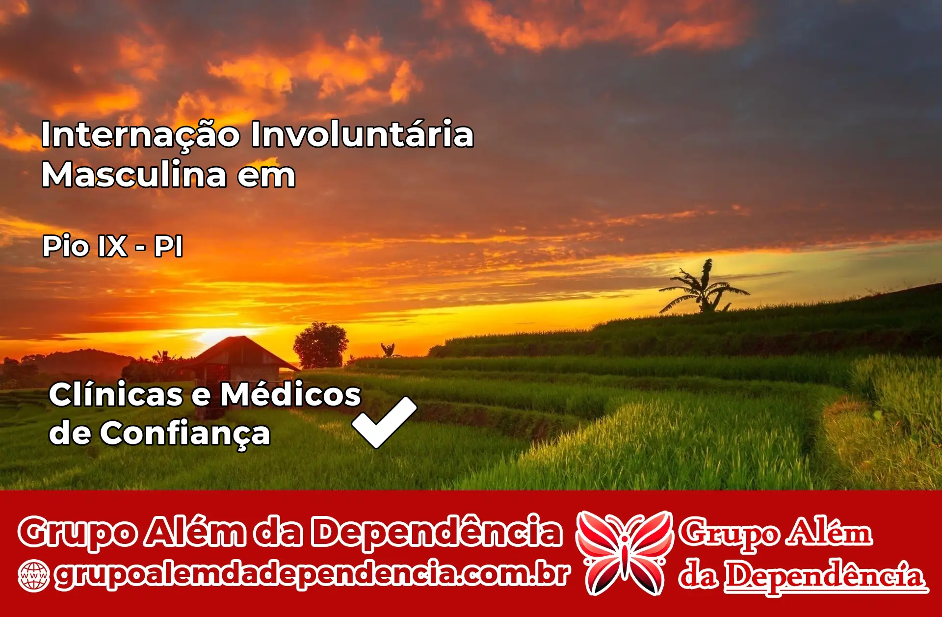 Internação Involuntária Masculina em Pio IX – PI