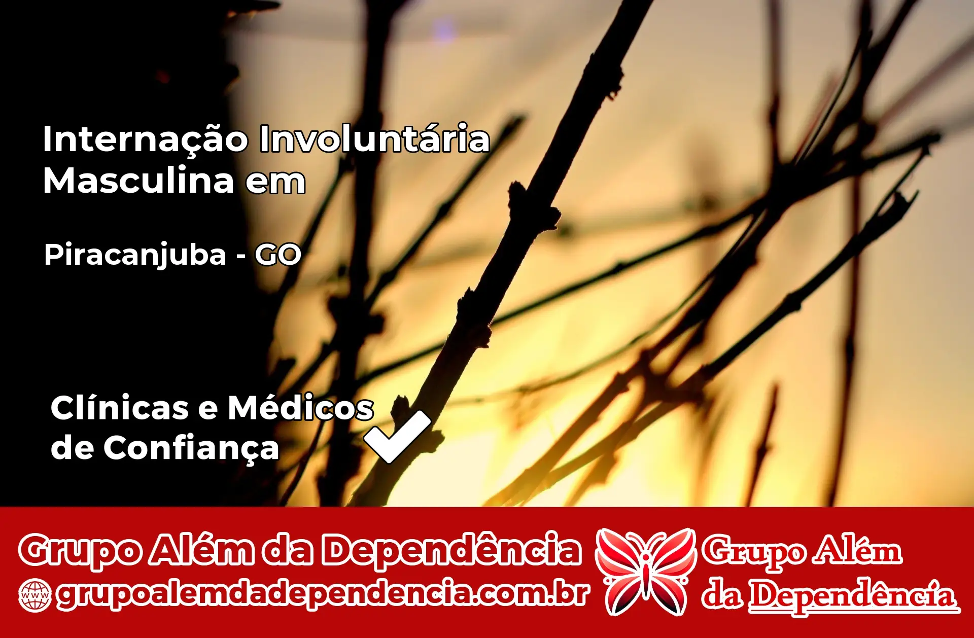 Internação Involuntária Masculina em Piracanjuba – GO