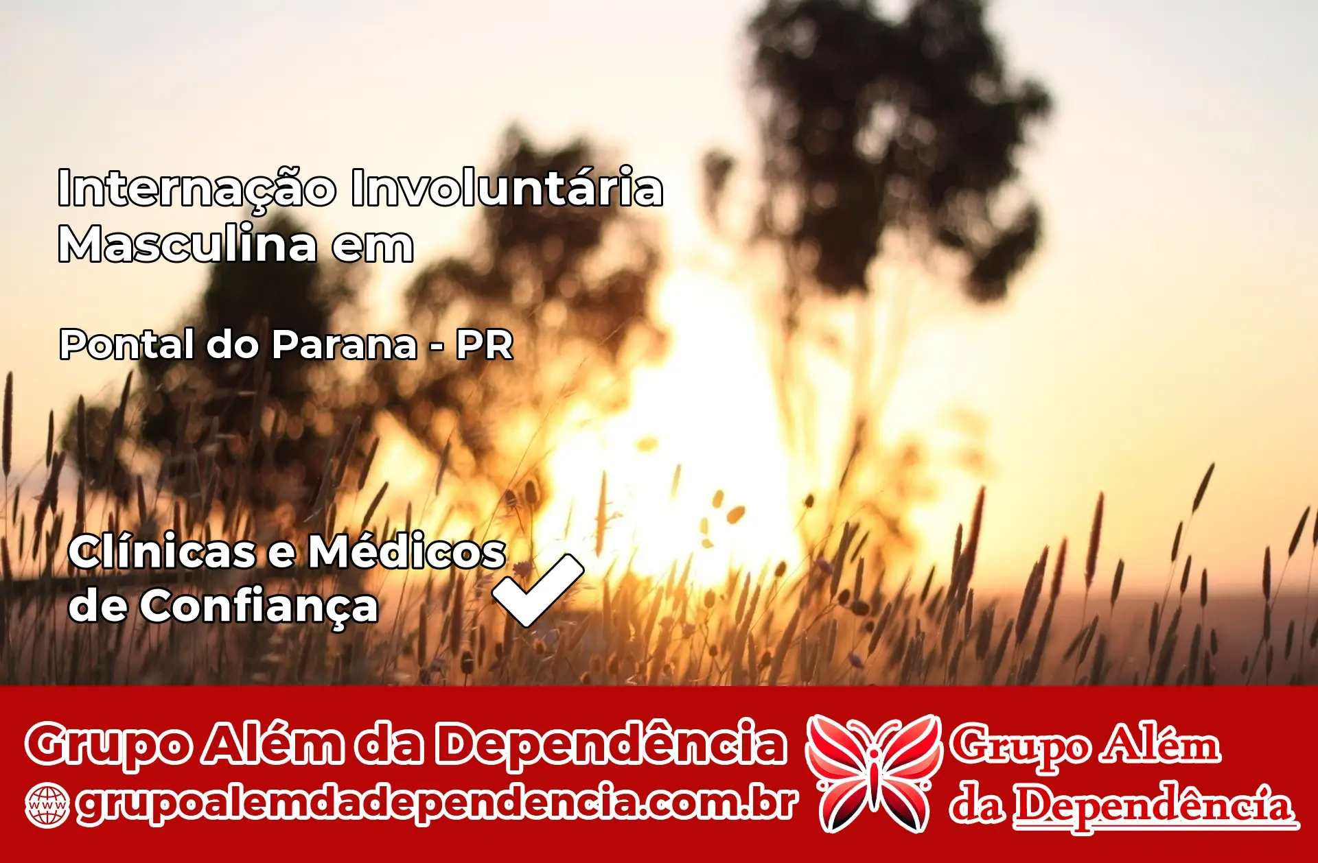 Internação Involuntária Masculina em Pontal do Paraná – PR