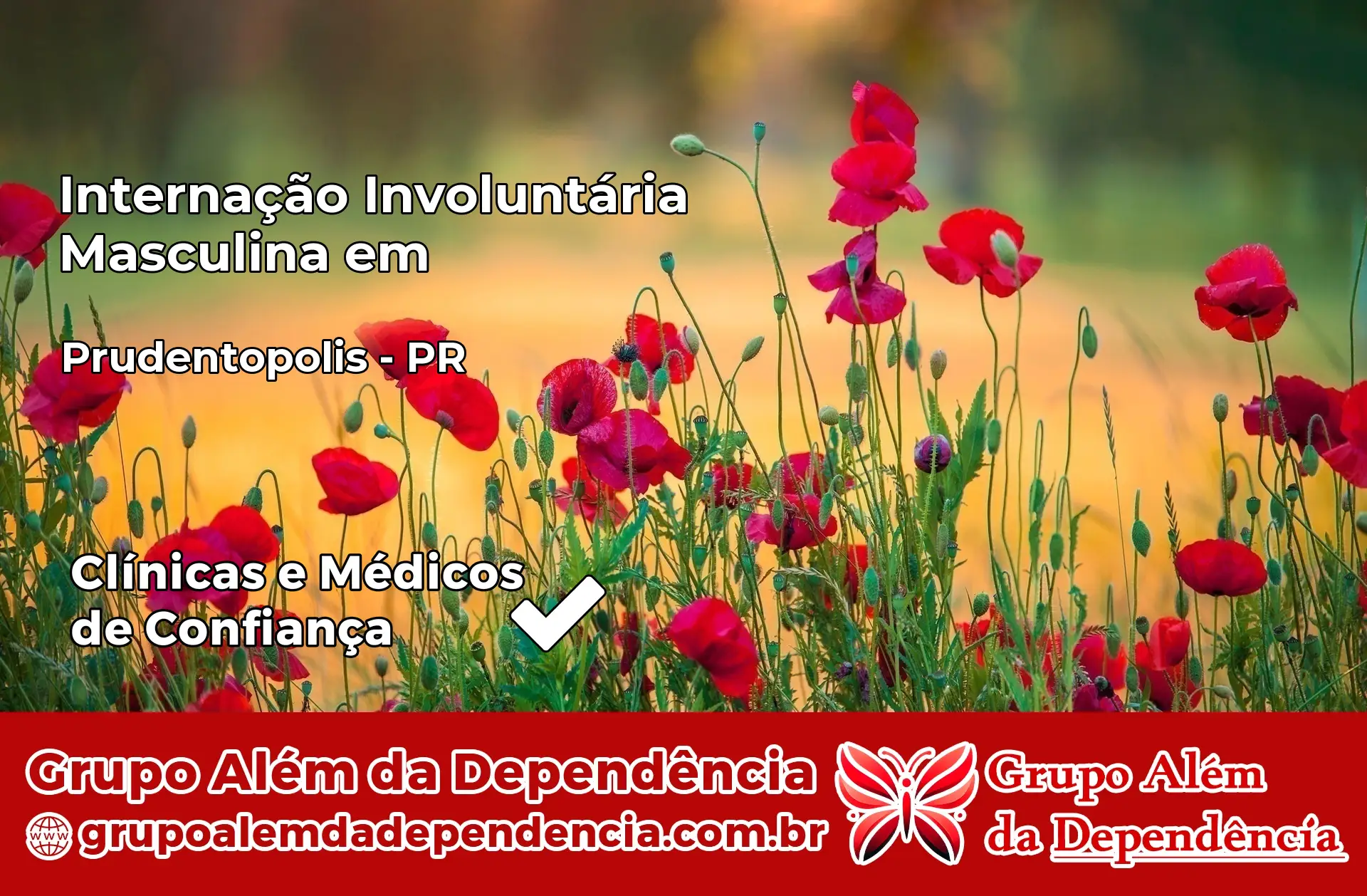 Internação Involuntária Masculina em Prudentópolis – PR