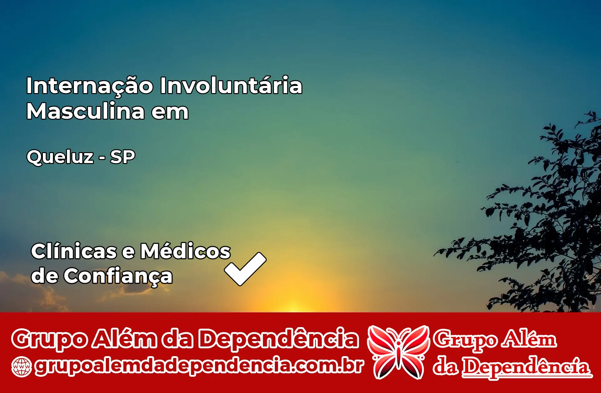 Internação Involuntária Masculina em Queluz – SP