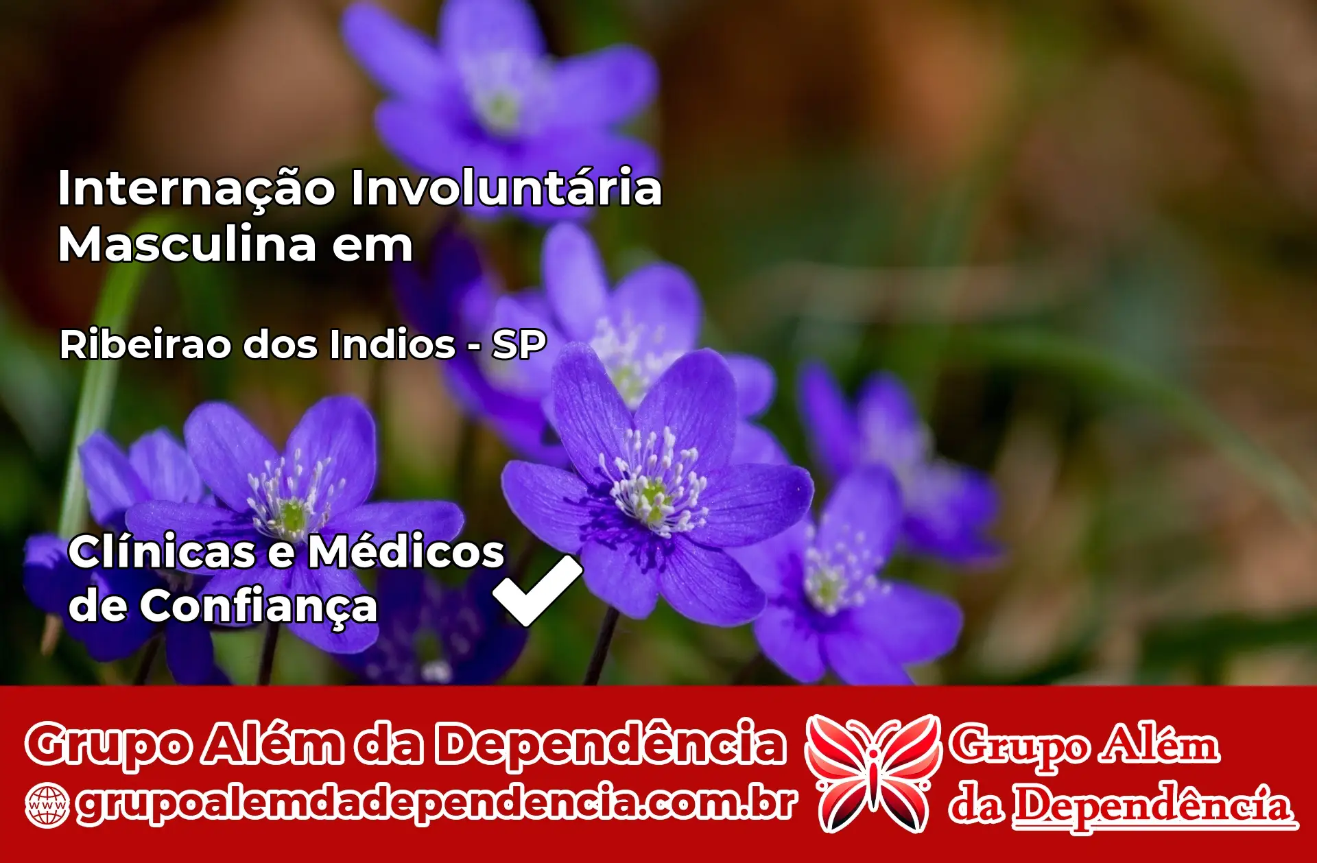 Internação Involuntária Masculina em Ribeirão dos Índios – SP
