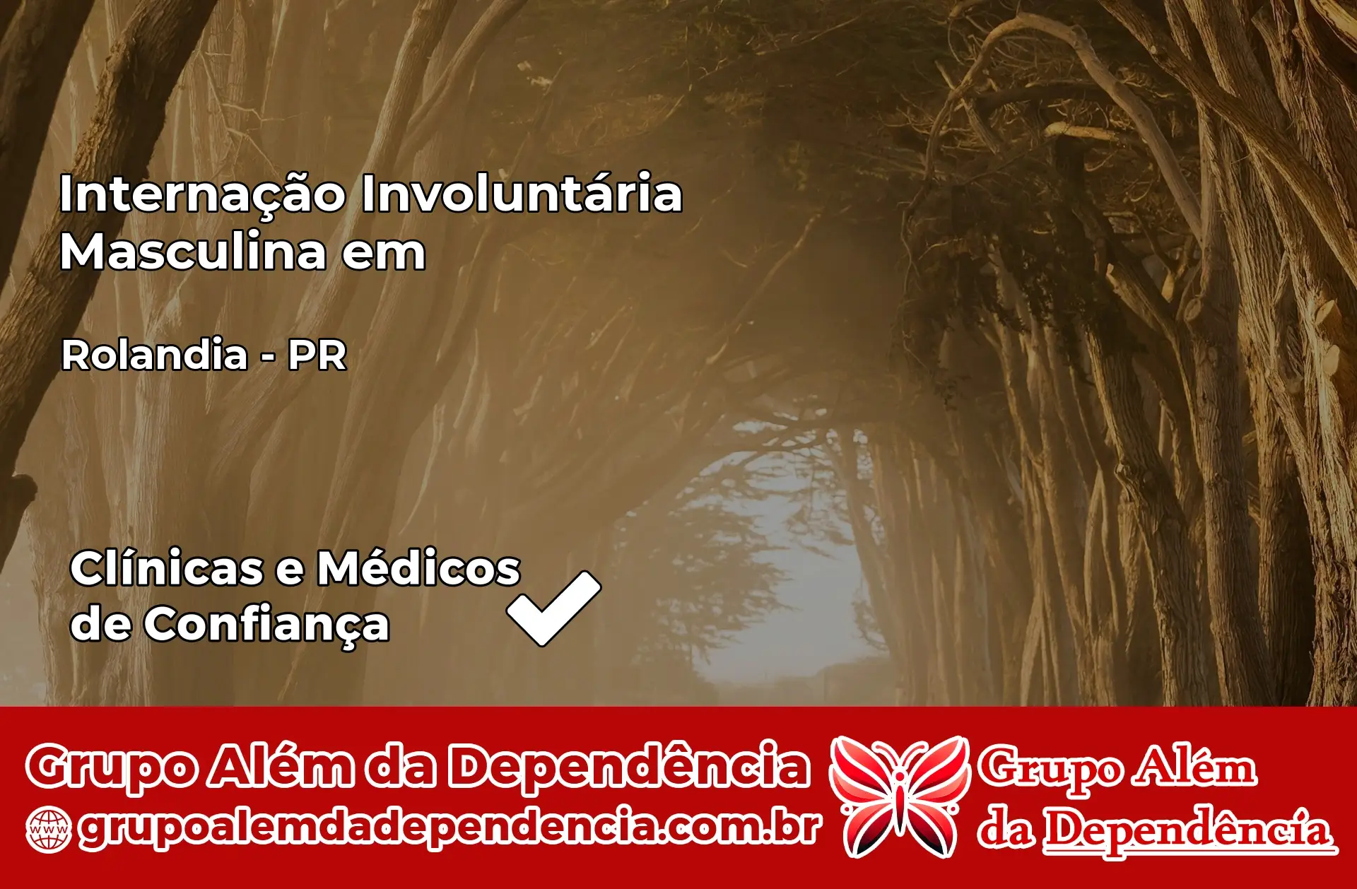 Internação Involuntária Masculina em Rolândia – PR