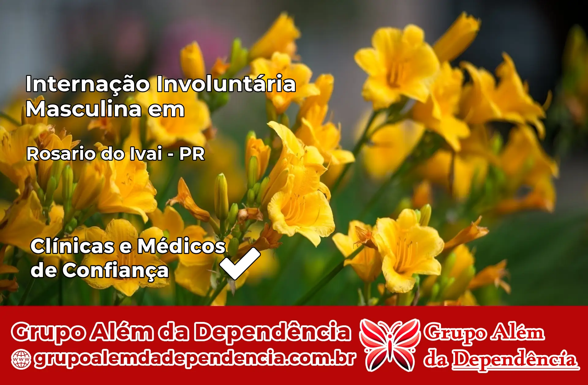 Internação Involuntária Masculina em Rosário do Ivaí – PR