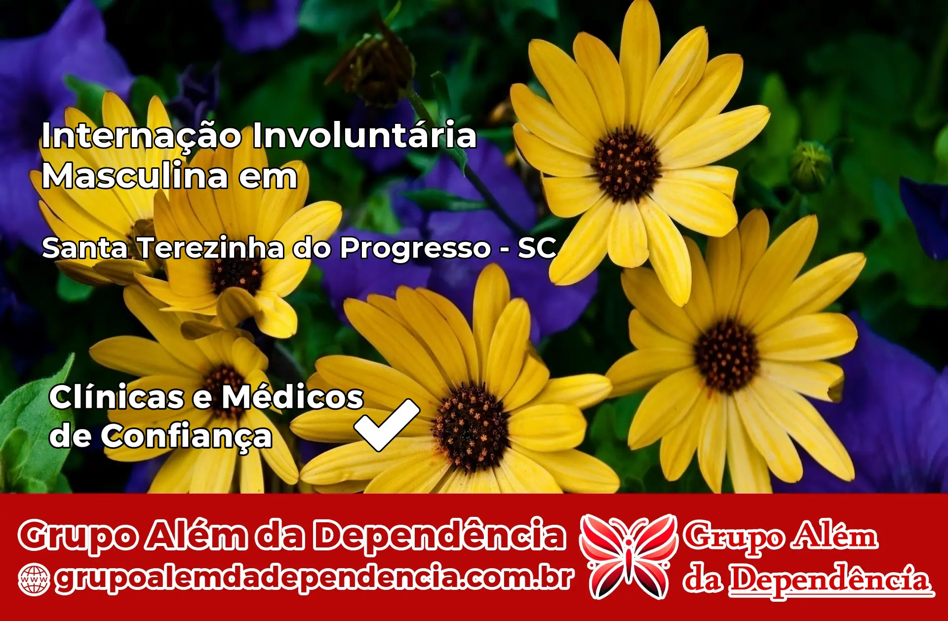 Internação Involuntária Masculina em Santa Terezinha do Progresso – SC