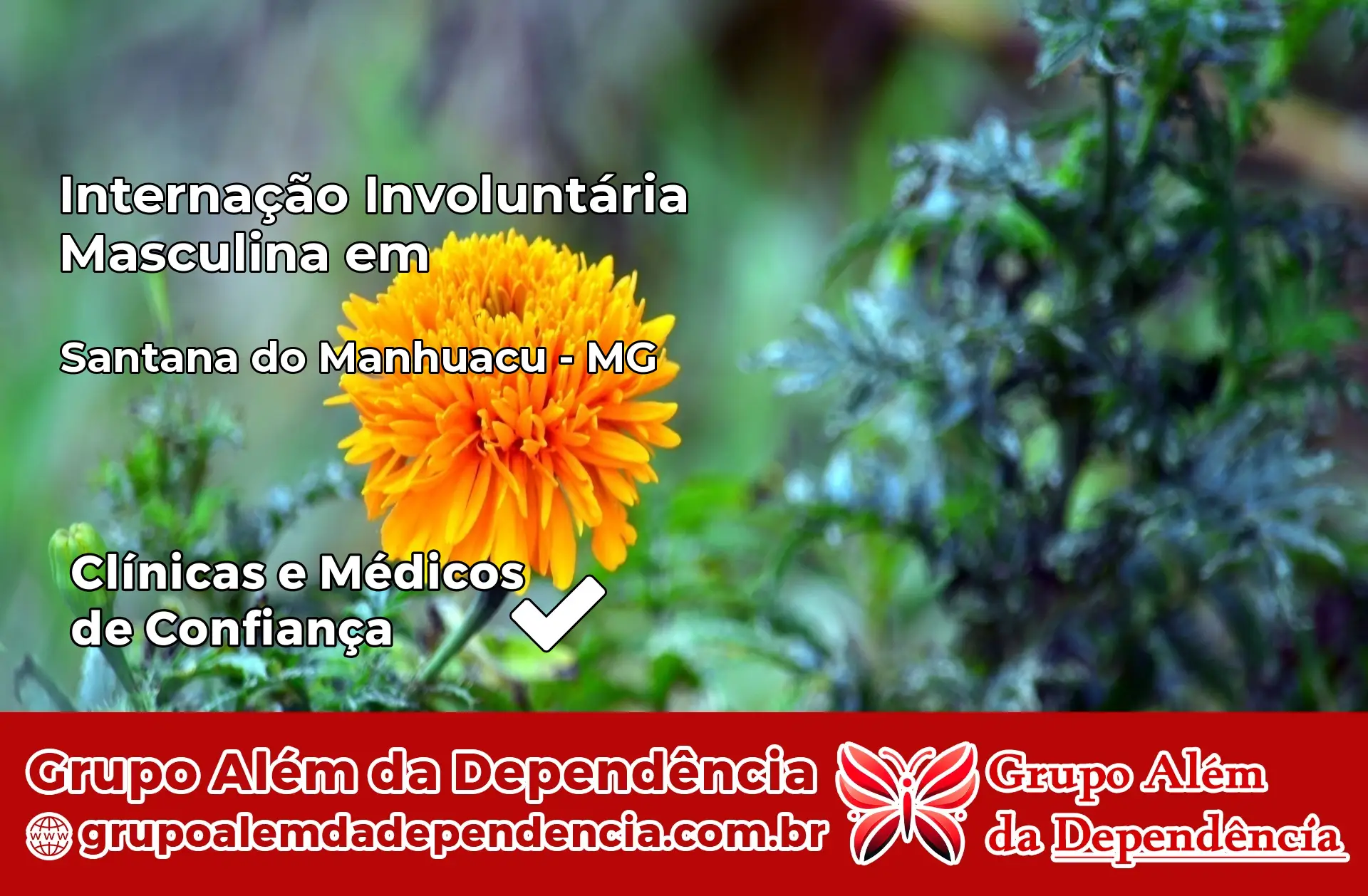 Internação Involuntária Masculina em Santana do Manhuaçu – MG