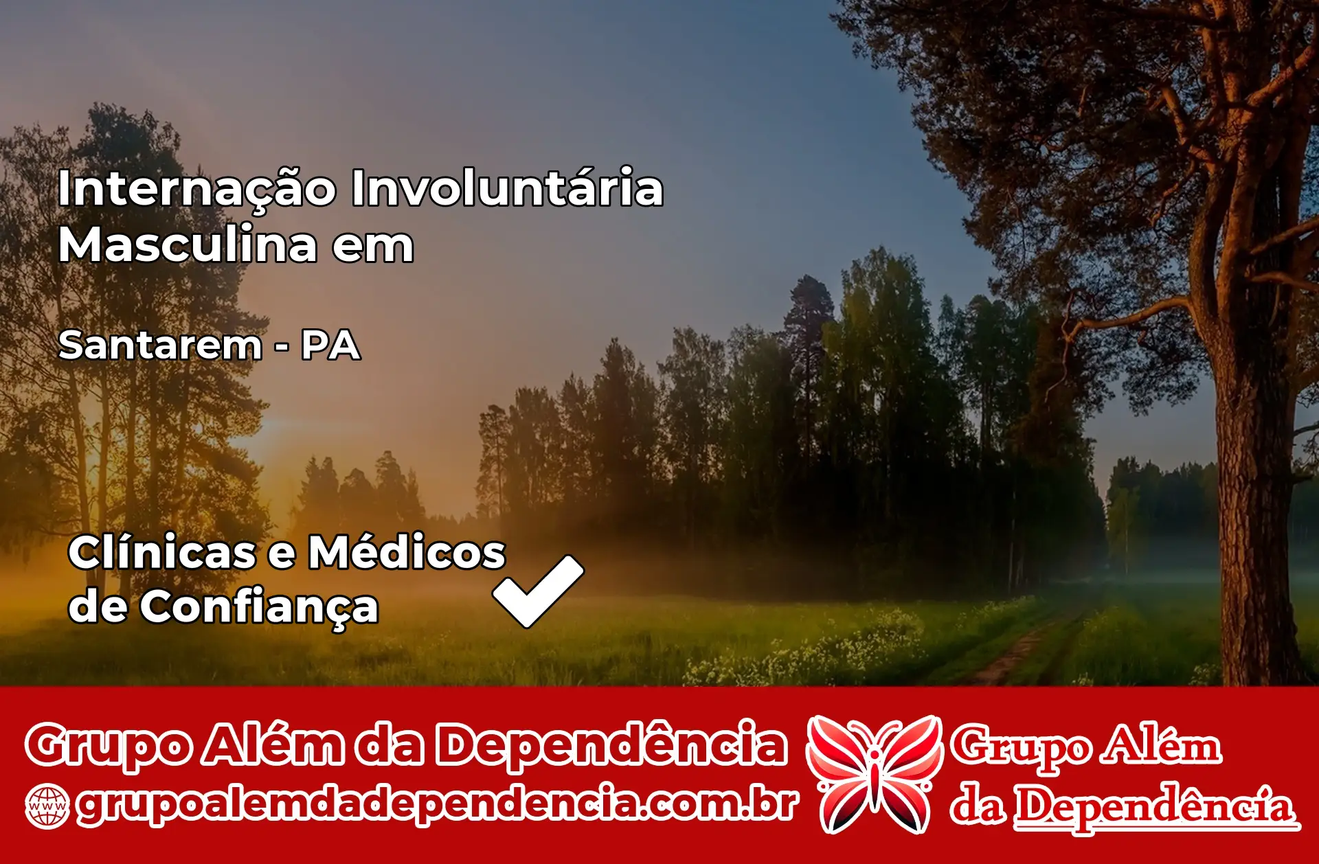 Internação Involuntária Masculina em Santarém – PA