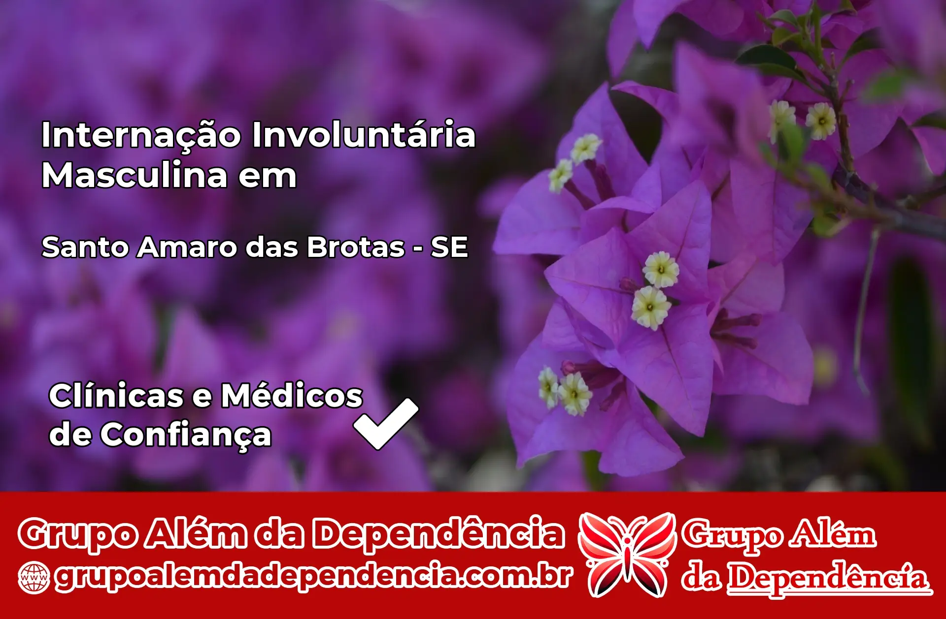 Internação Involuntária Masculina em Santo Amaro das Brotas – SE