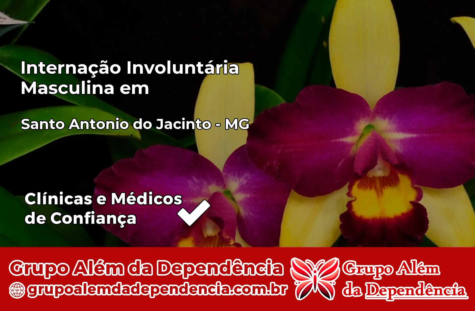 Internação Involuntária Masculina em Santo Antônio do Jacinto – MG